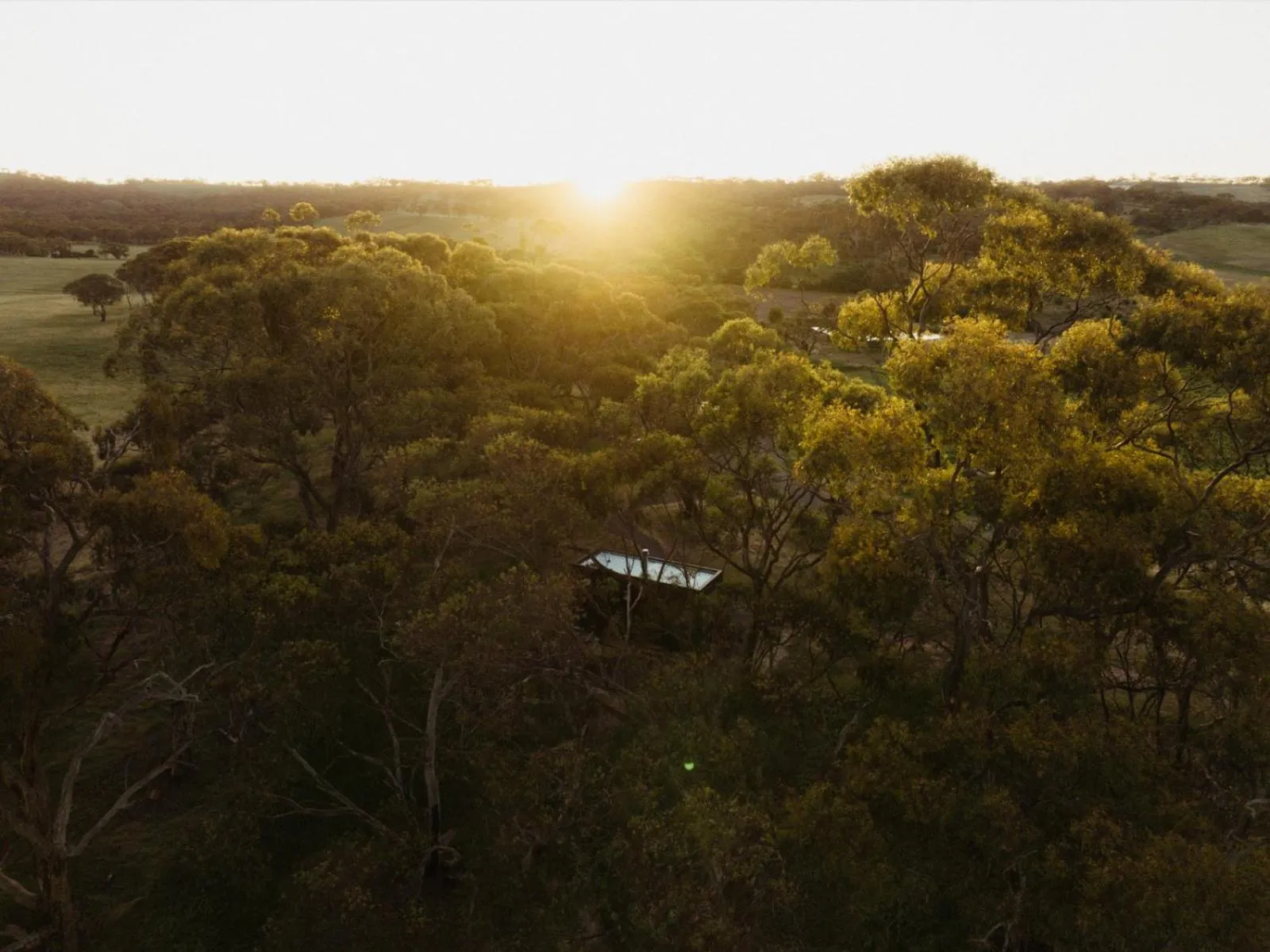 Natural landscape in CABN Clare Valley