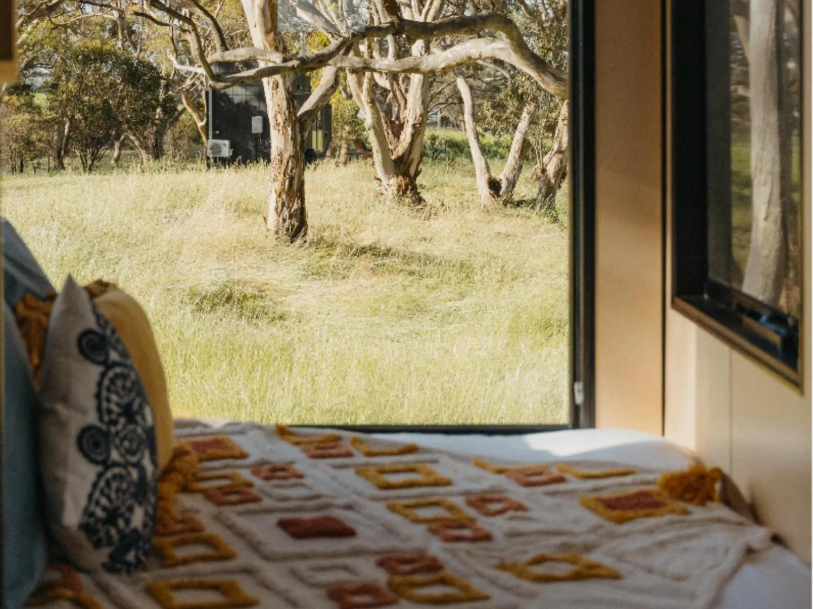 Day in CABN Clare Valley