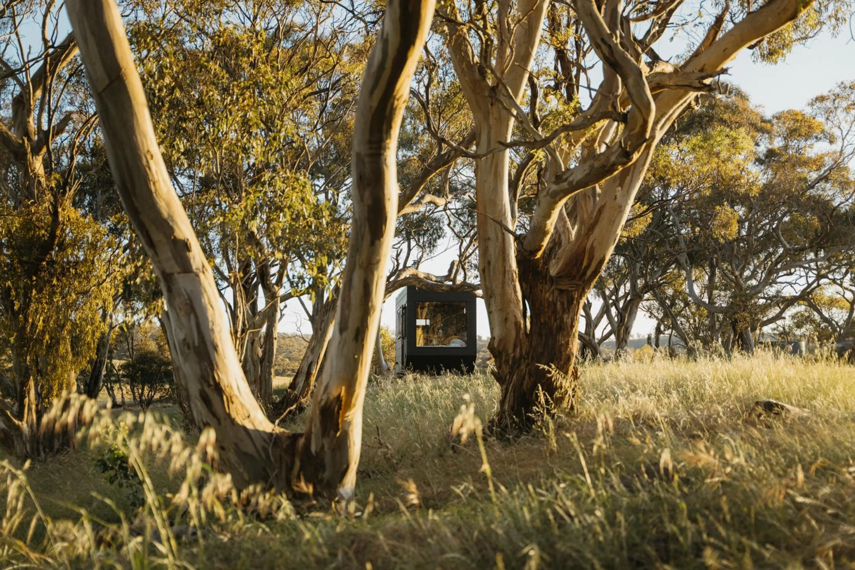 Natural landscape in CABN Clare Valley