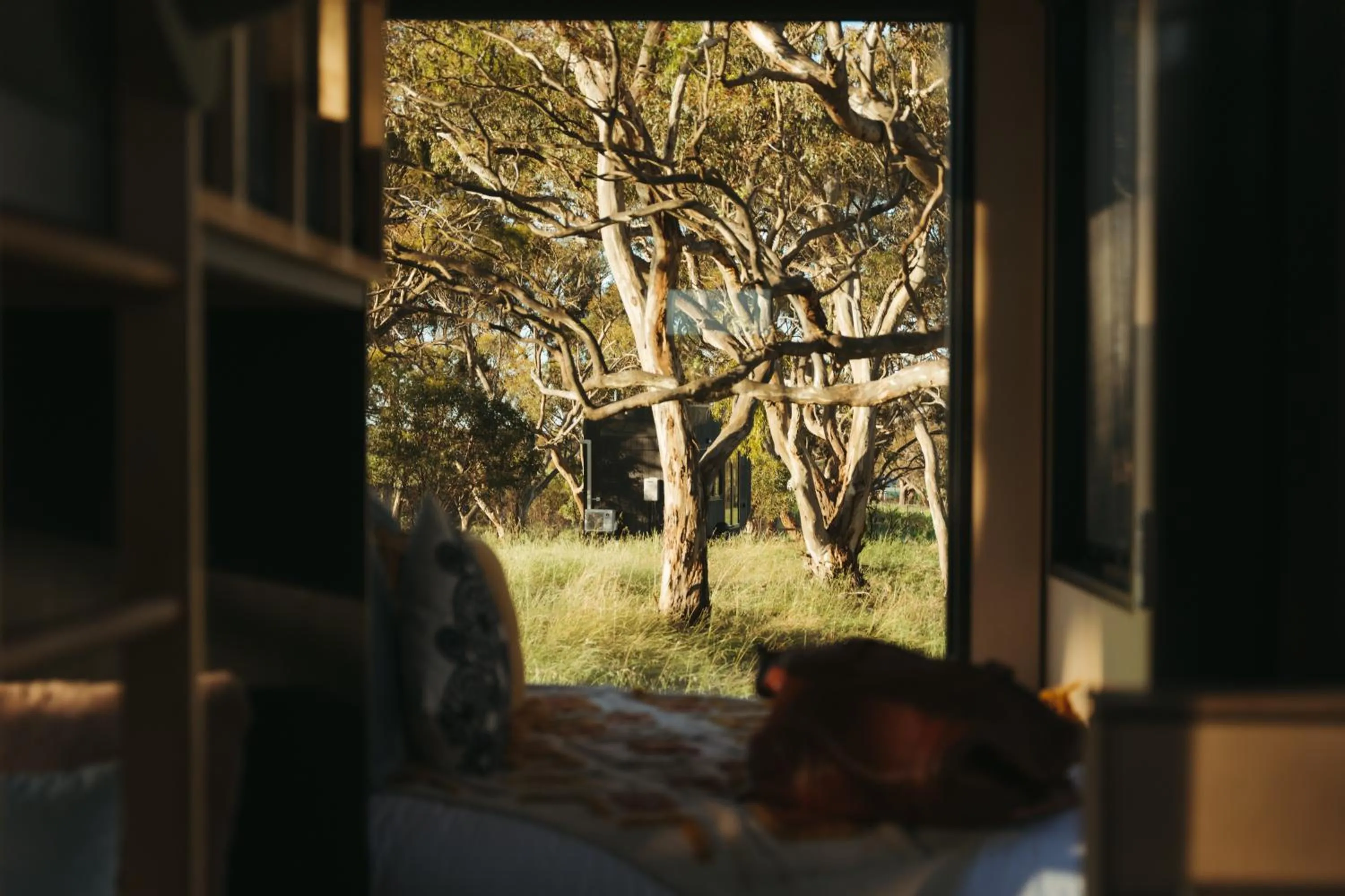 Natural landscape in CABN Clare Valley