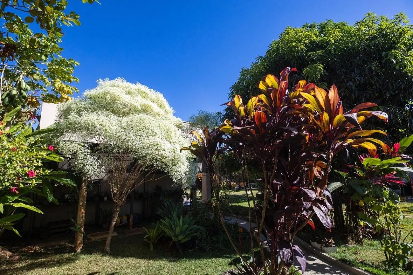 Hotel Pousada das Flores