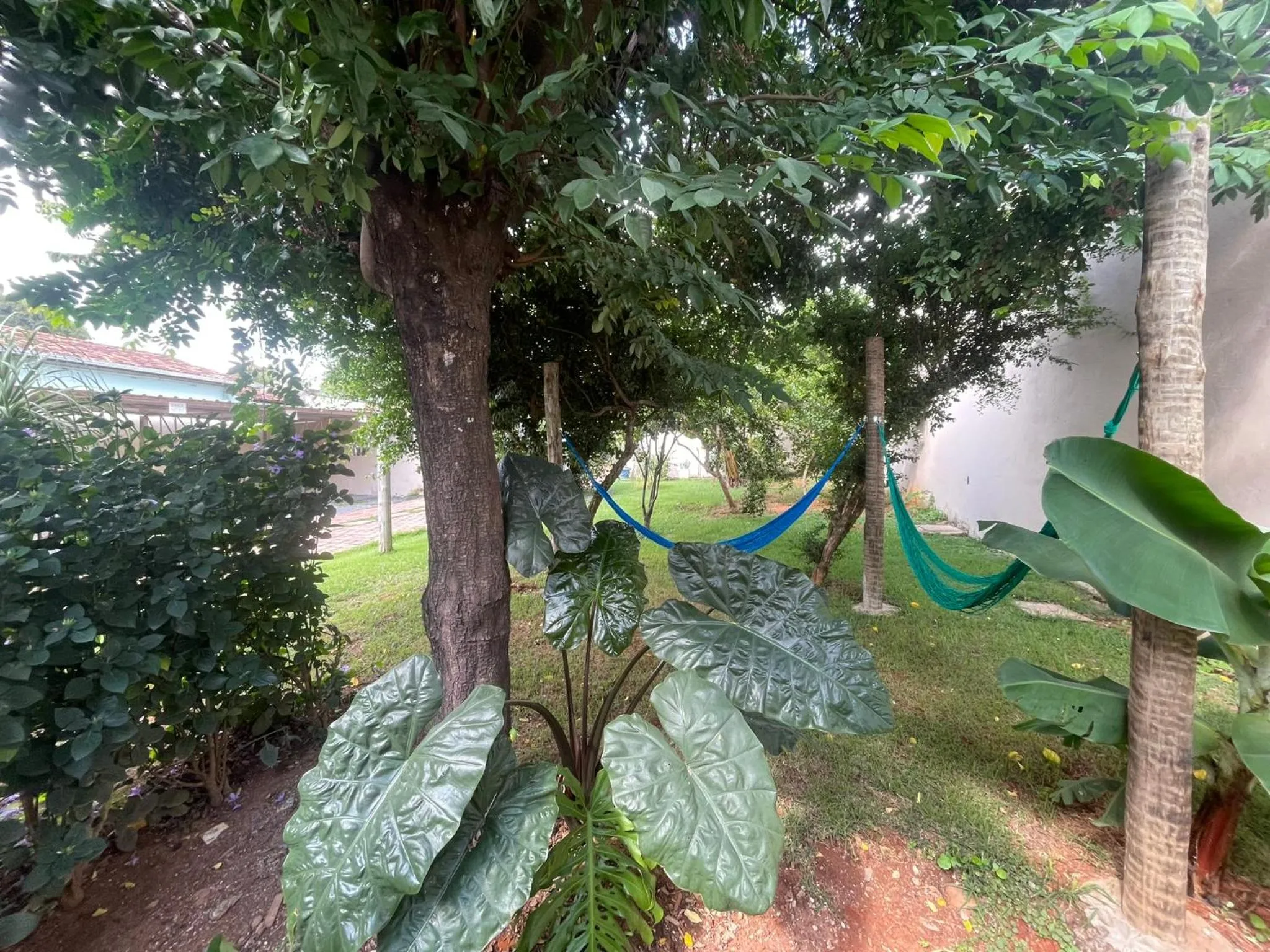 Garden in Hotel Pousada das Flores