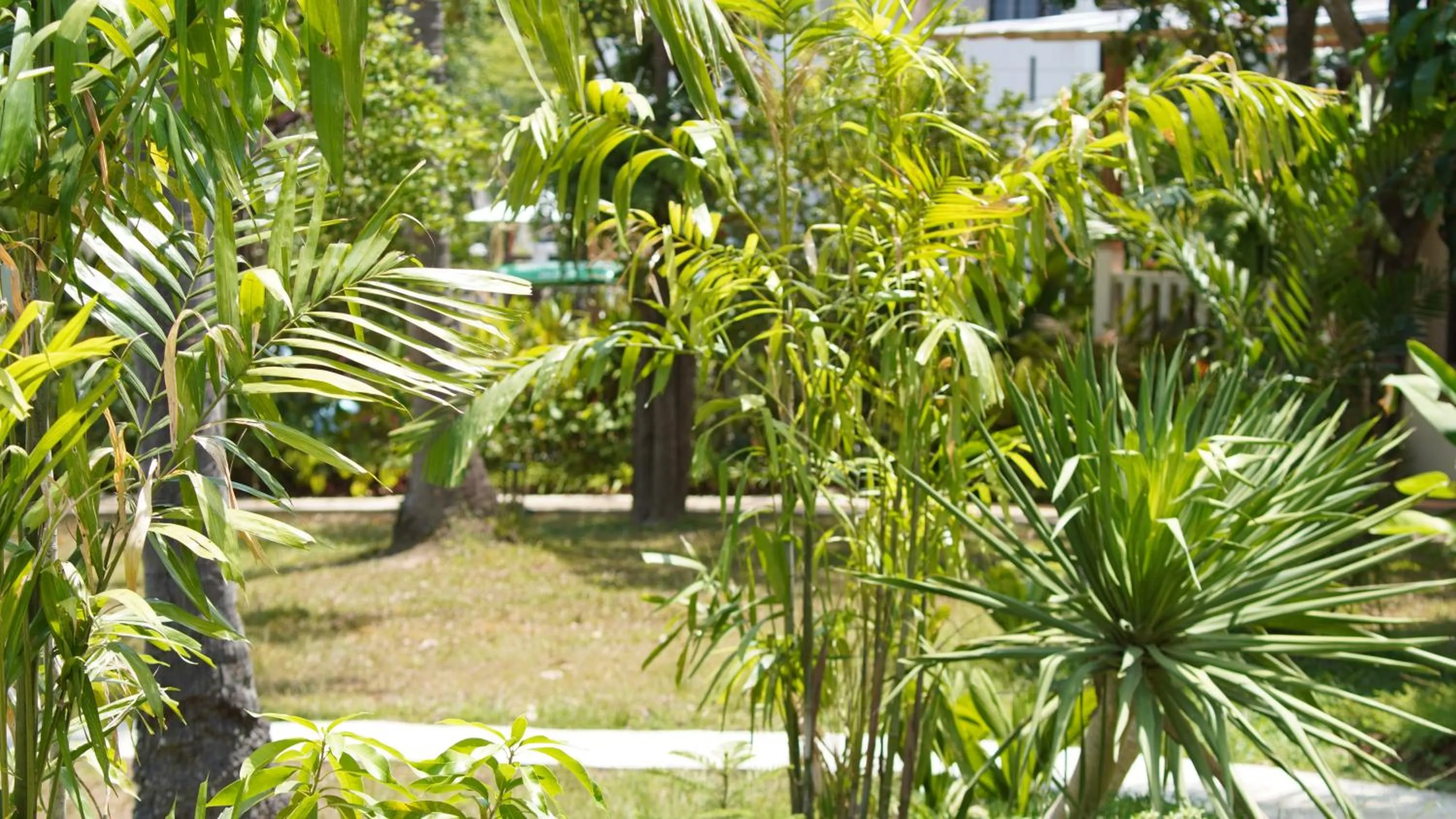 Spring in Treeya Lanta