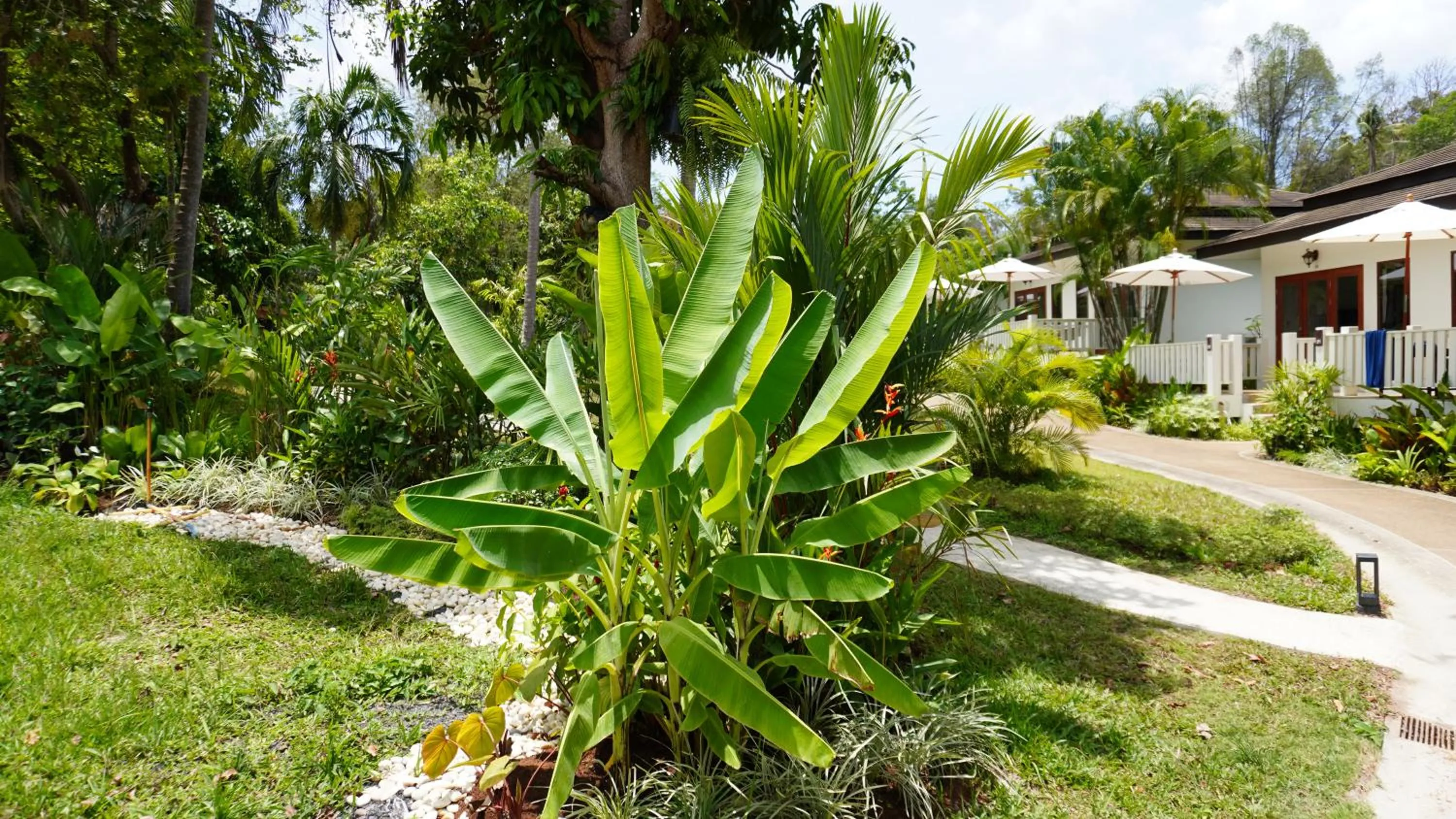 Garden view in Treeya Lanta