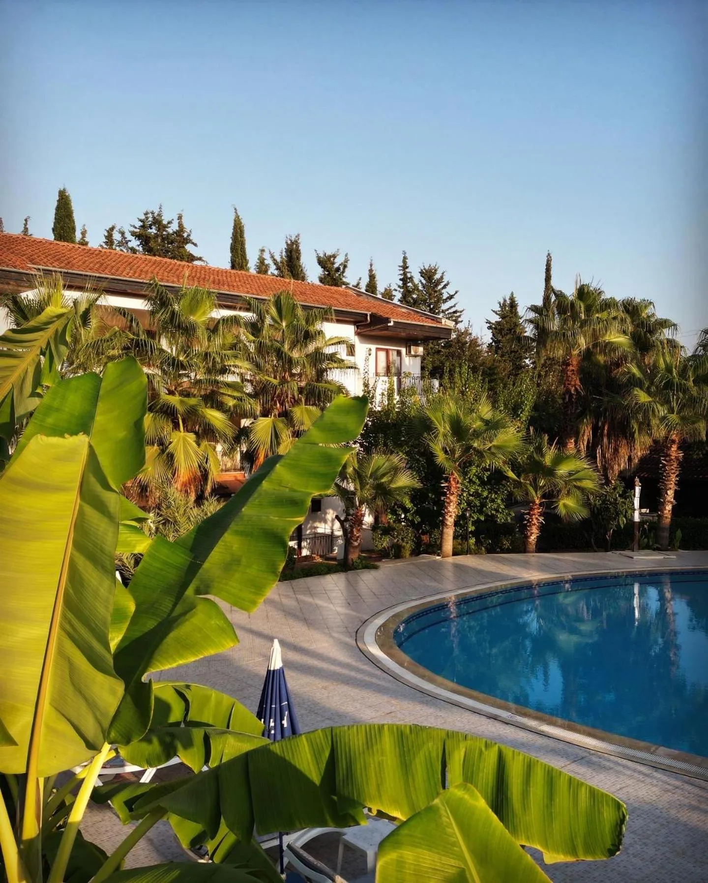 Garden in LEMAS SUITE HOTEL