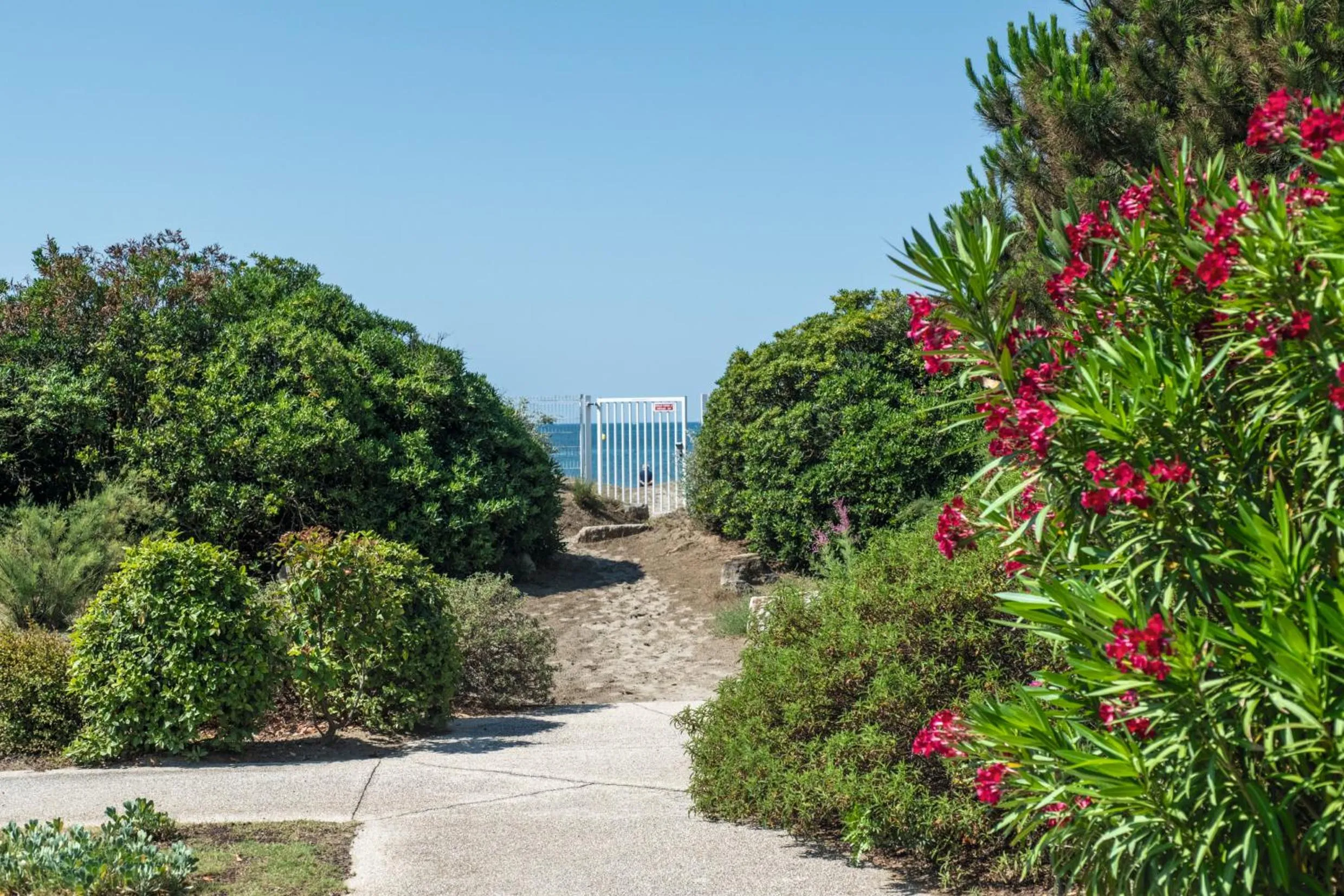 Beach in SOWELL RESIDENCES Les Sablons