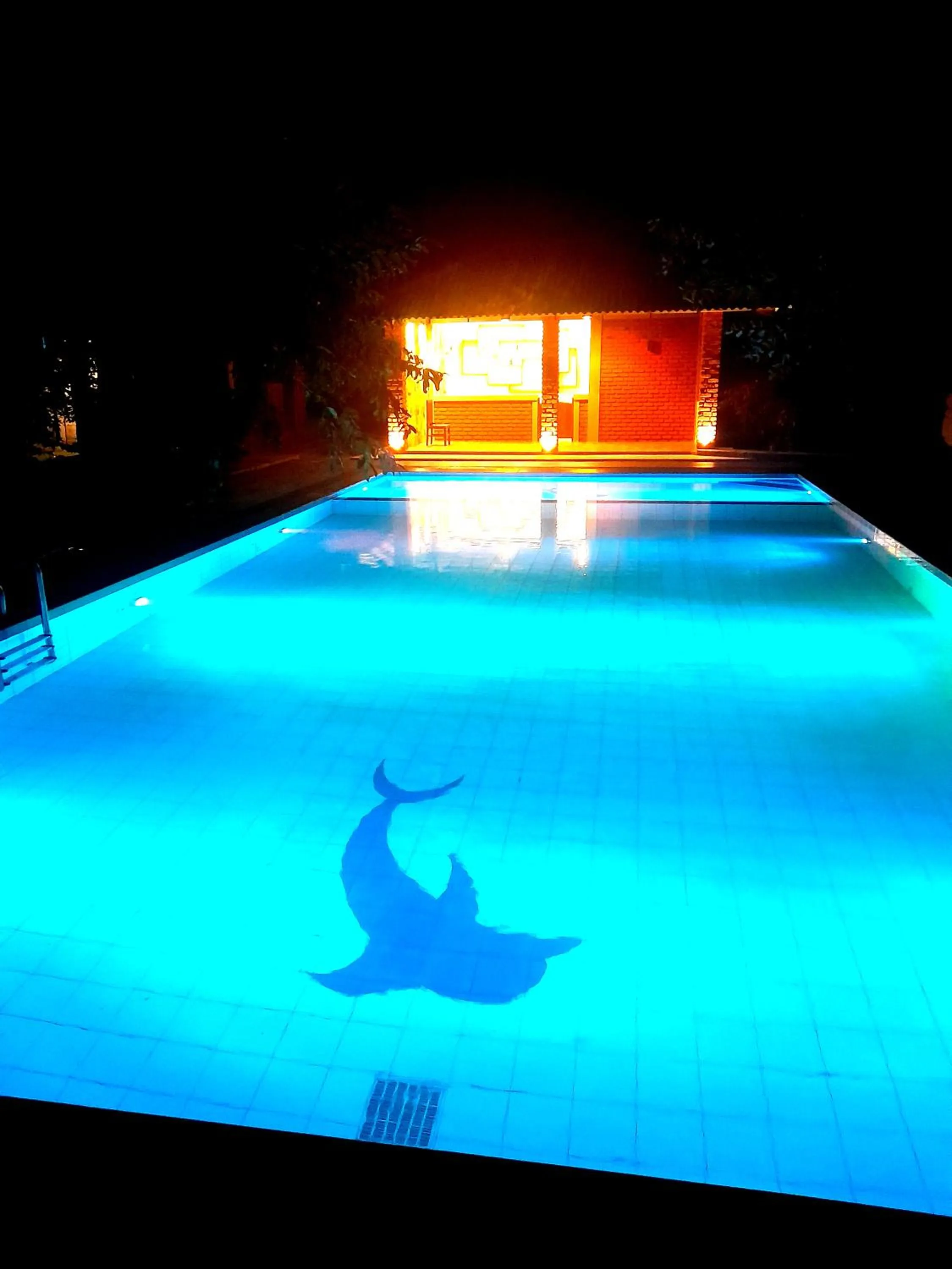 Swimming pool in Naturaliza Sigiriya