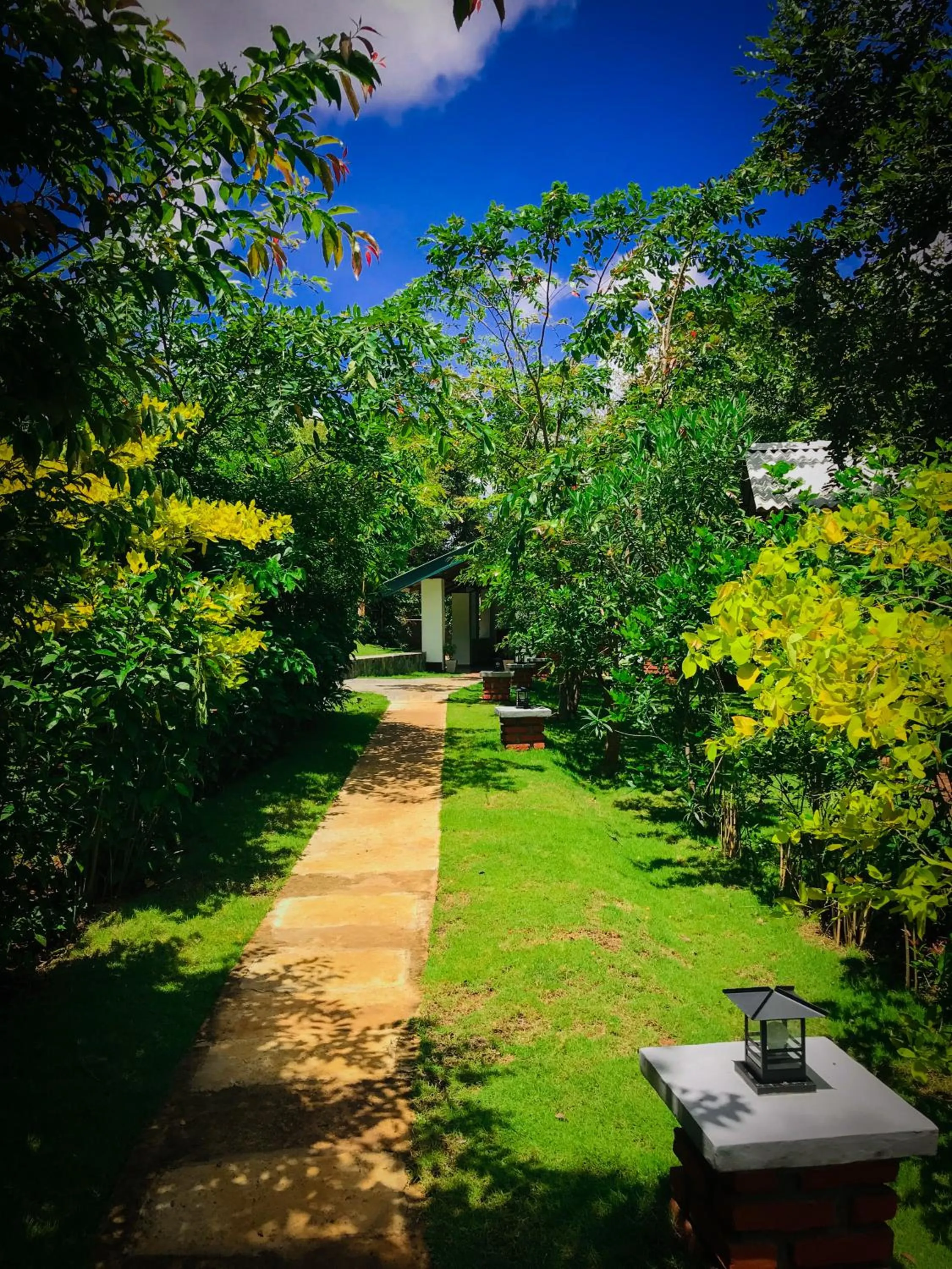 Garden in Naturaliza Sigiriya