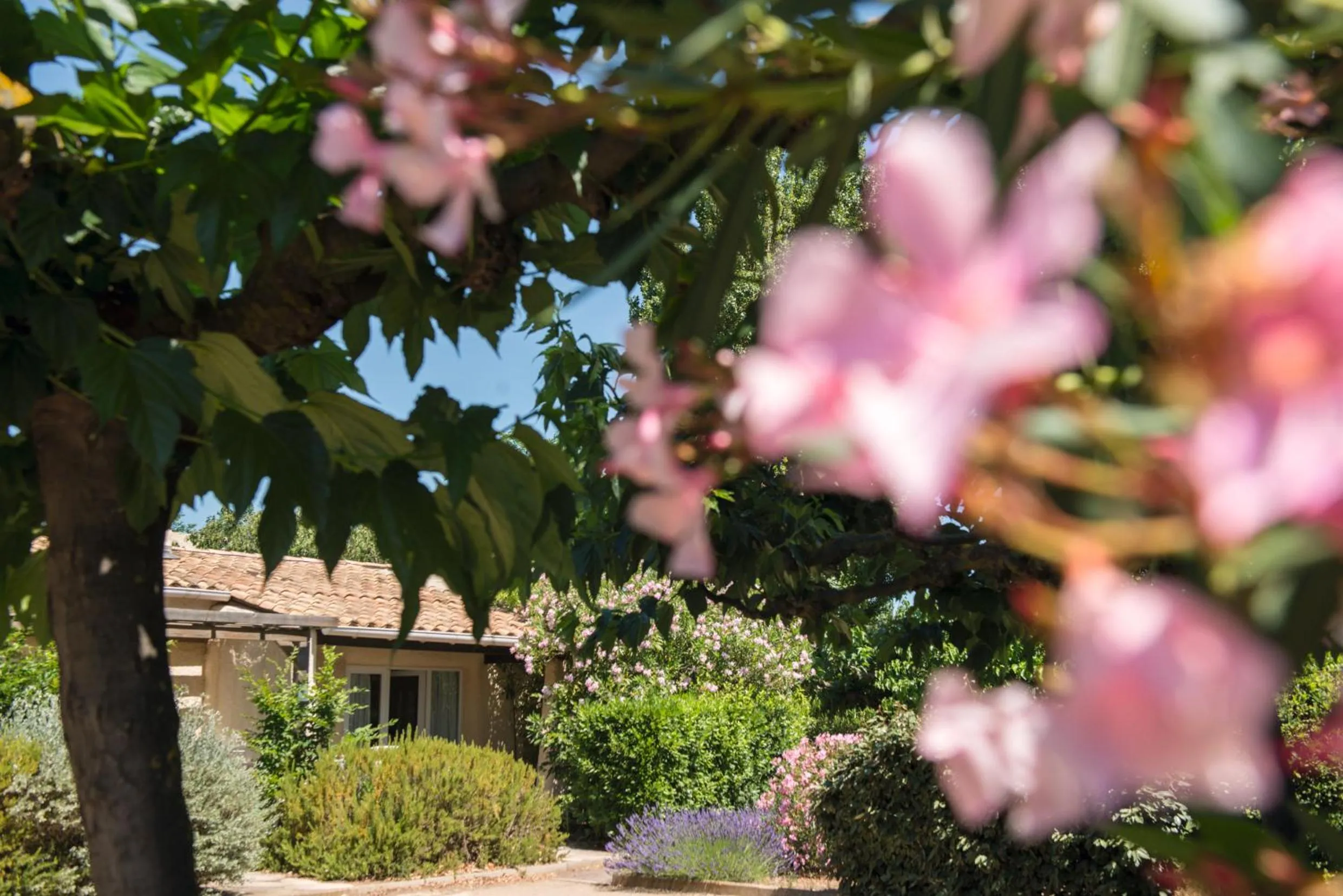 Garden in SOWELL Family Cap d’Agde
