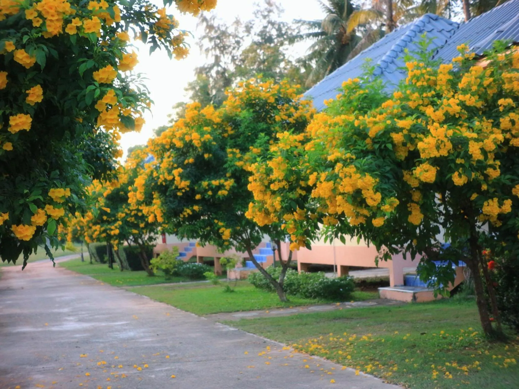 Garden in Thungwua laen resort