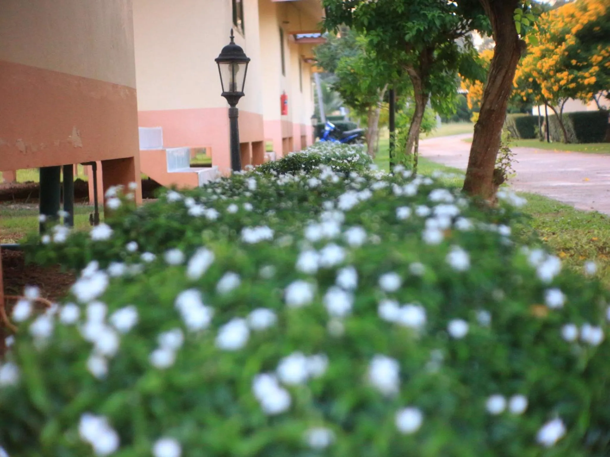 Garden in Thungwua laen resort