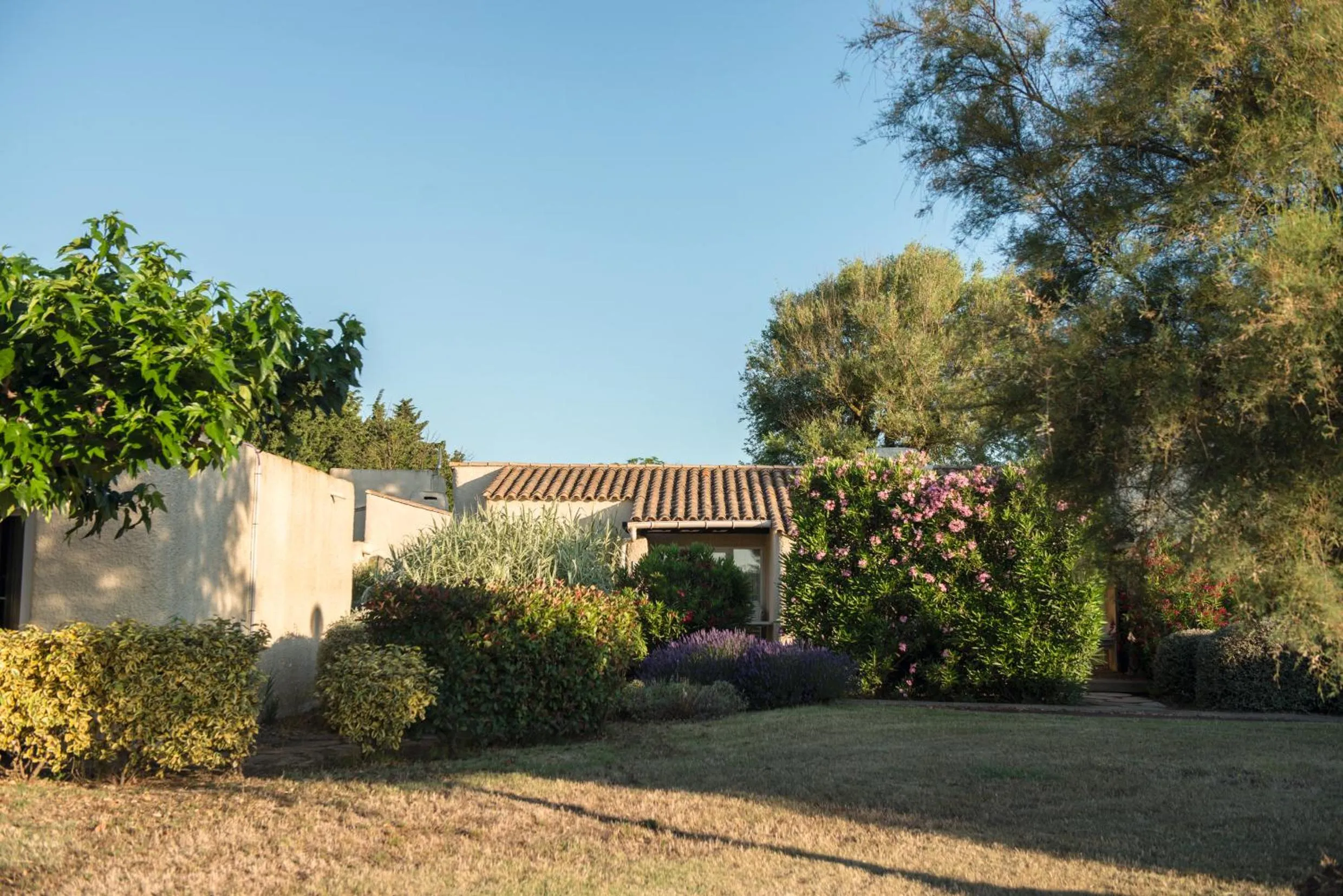 Garden in SOWELL RESIDENCES Les Lauriers Roses