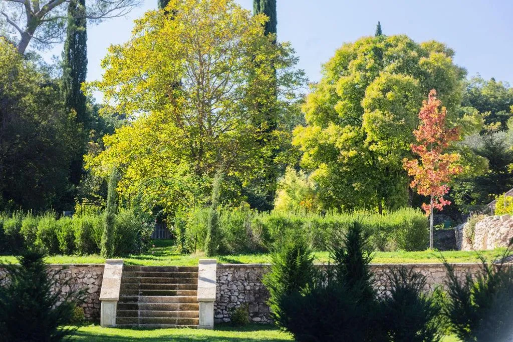 Château de Collias - Maison de Vacances