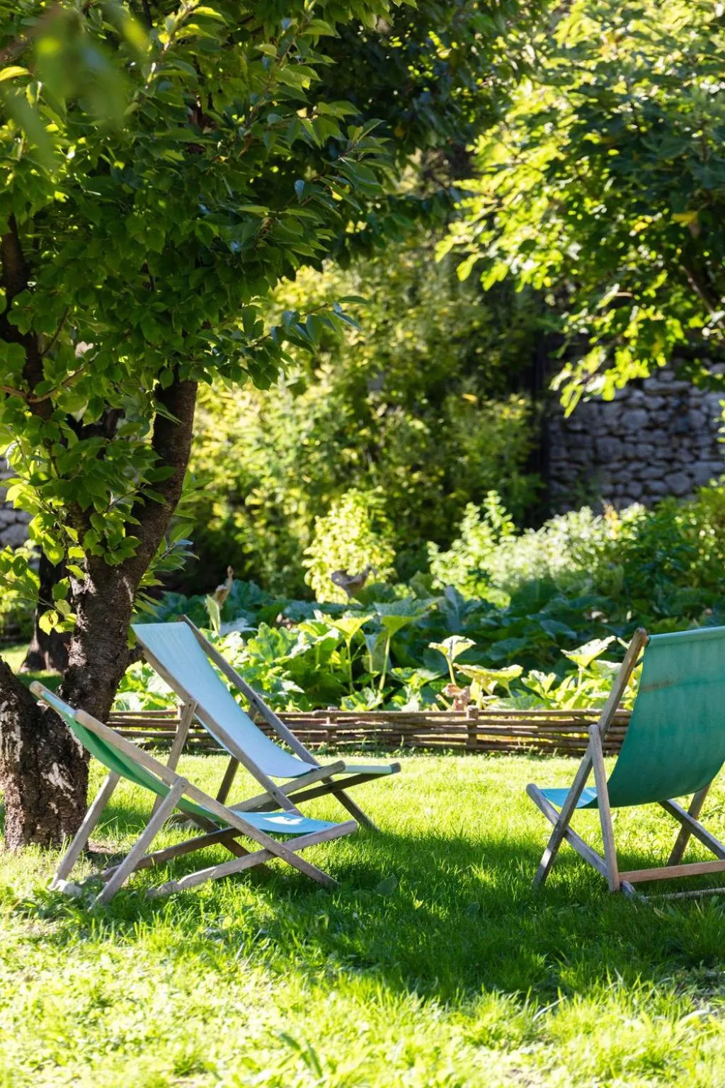 Garden view in Château de Collias - Maison de Vacances