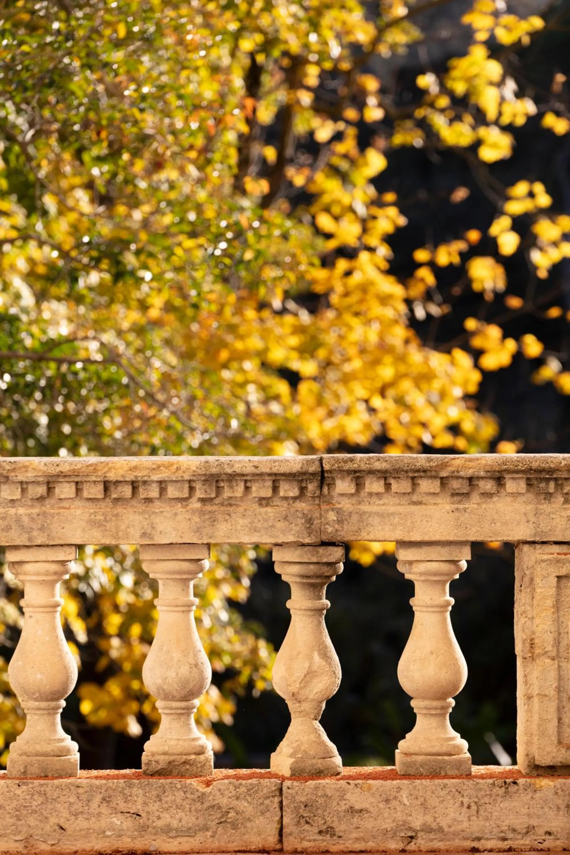 Spring in Château de Collias