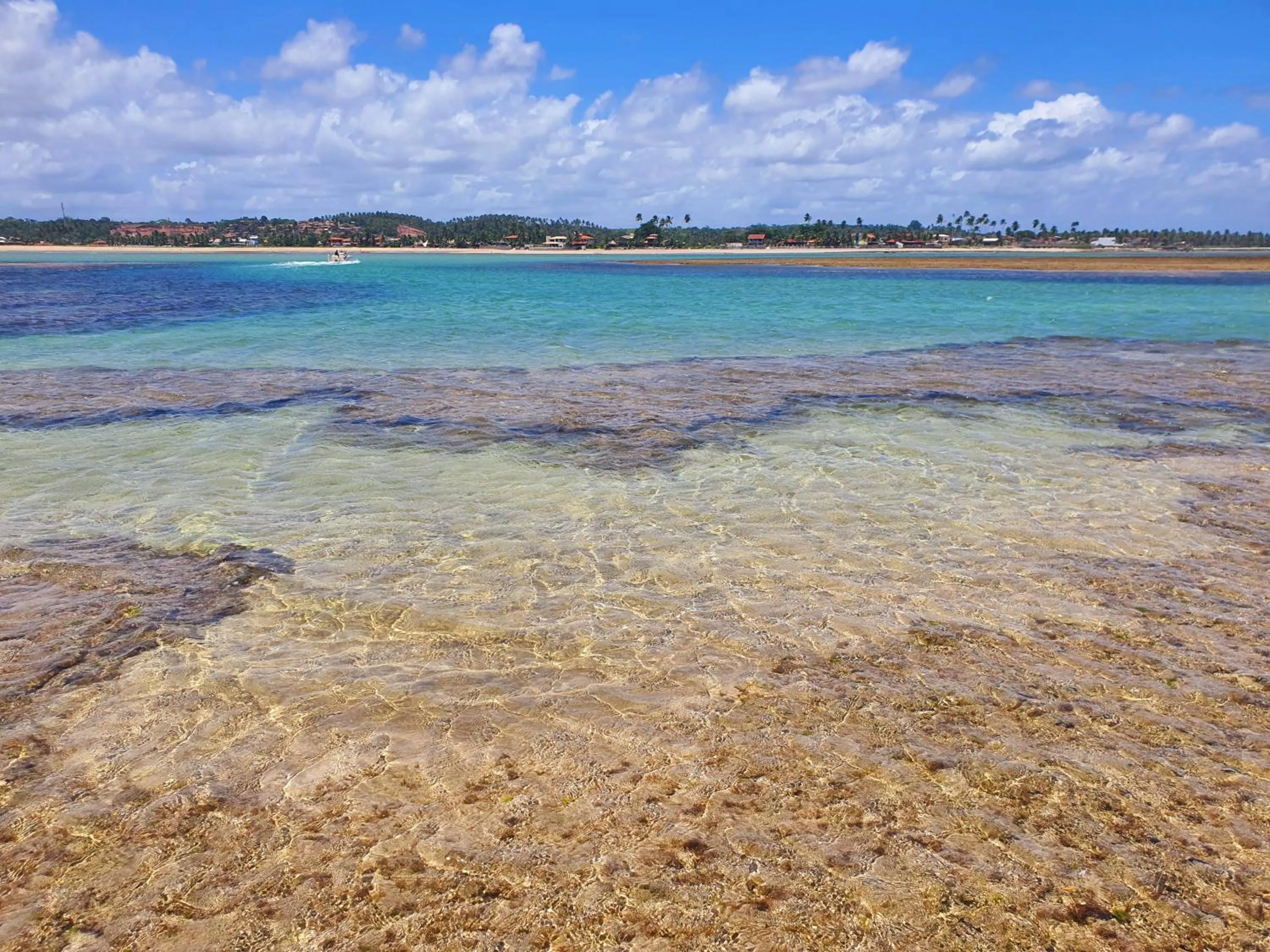 Natural landscape in Manaí Pousada & Beach Club
