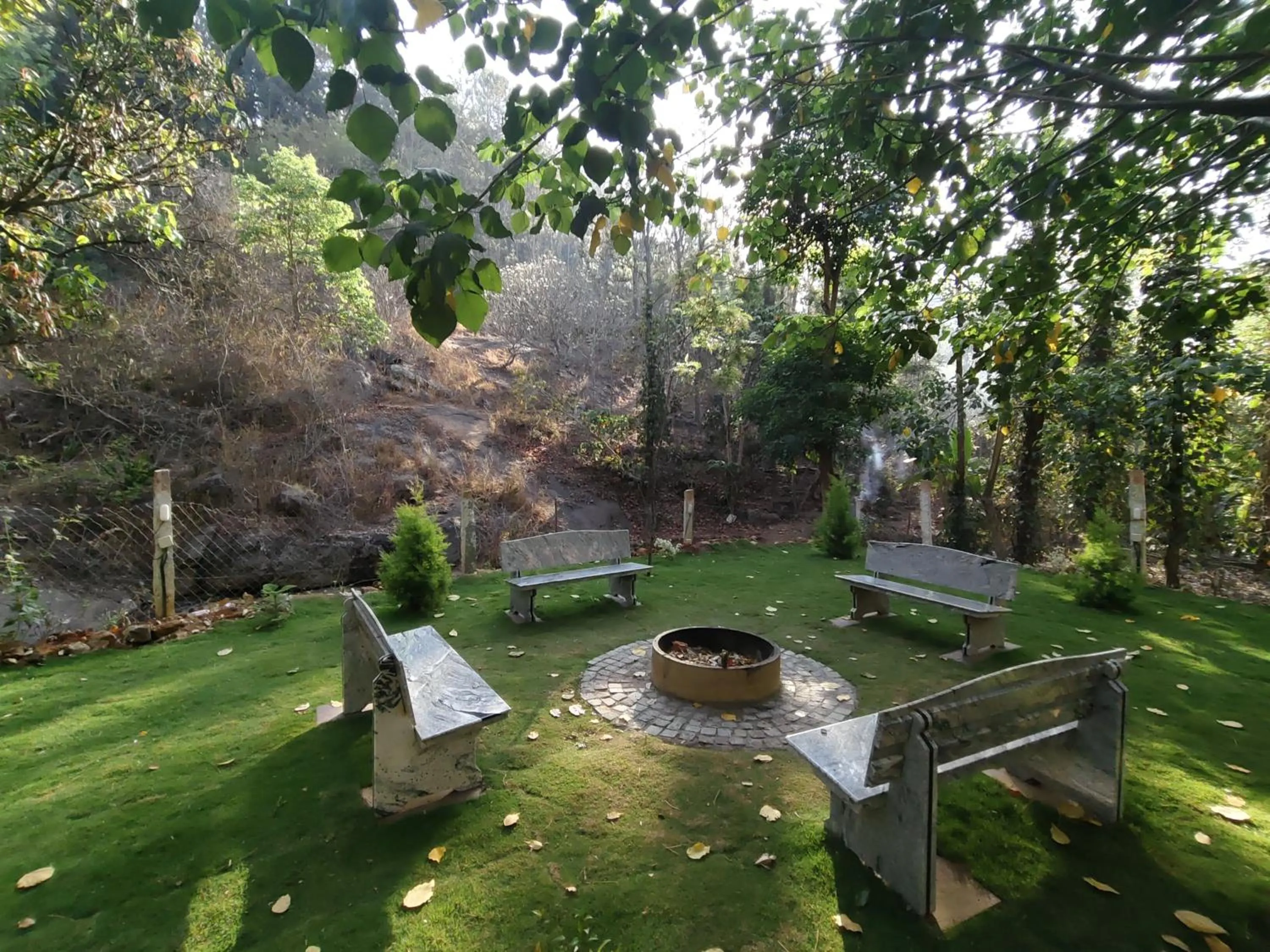 flat iron in Seattle Garden Resort - KolliHills