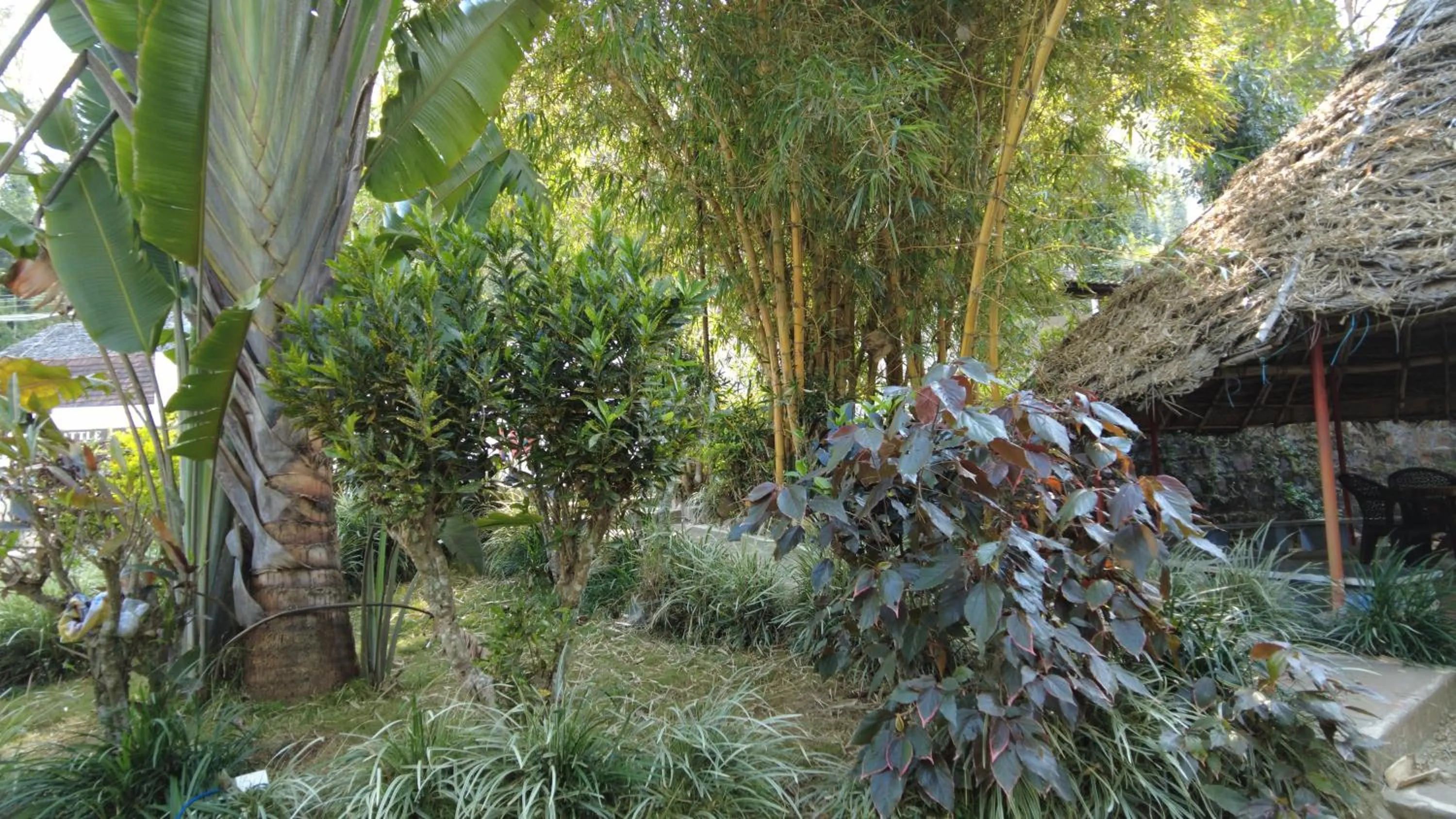 Garden in Seattle Garden Resort - KolliHills