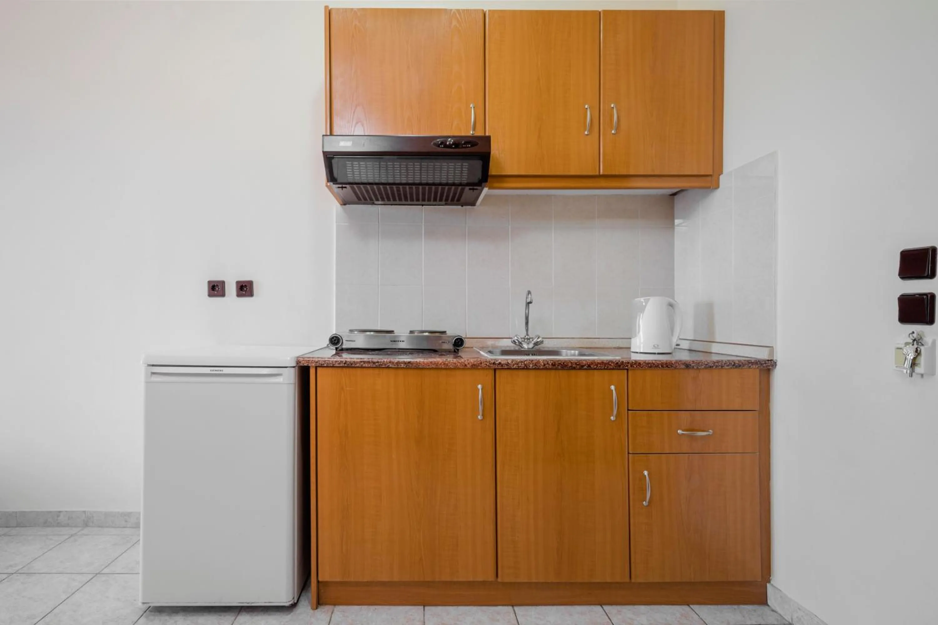 Kitchen or kitchenette in Alea Hotel Apartments