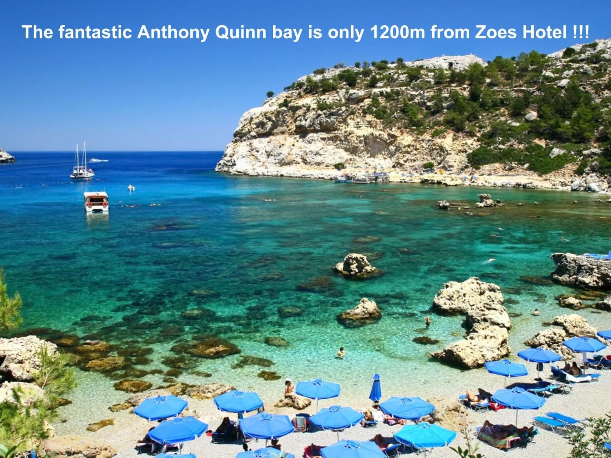 Area and facilities in Zoes Hotel & Suites