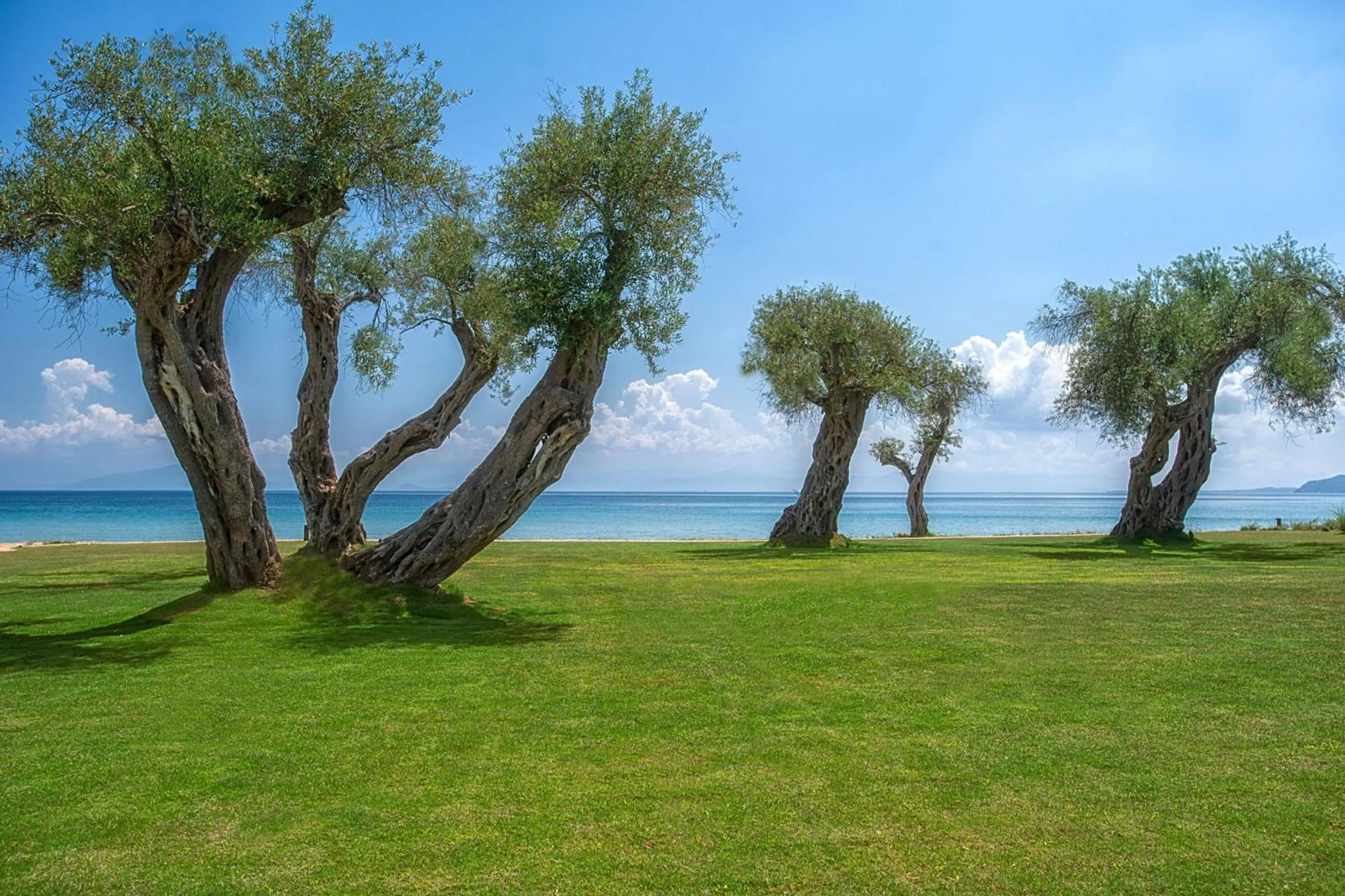 View (from property/room) in Domes Miramare, a Luxury Collection Resort, Corfu - Adults Only