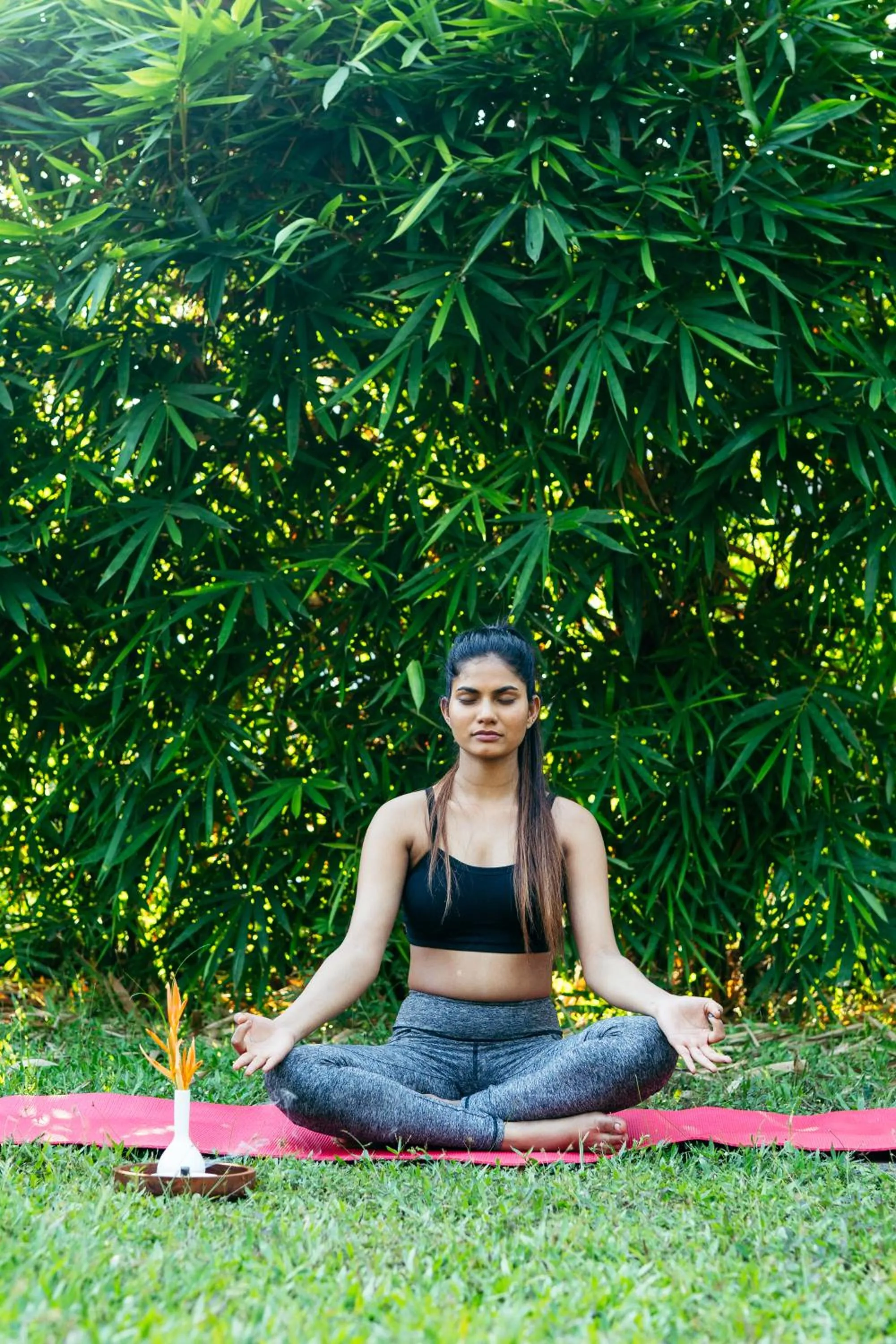 Garden in De Garland Palolem - AM Hotel Kollection