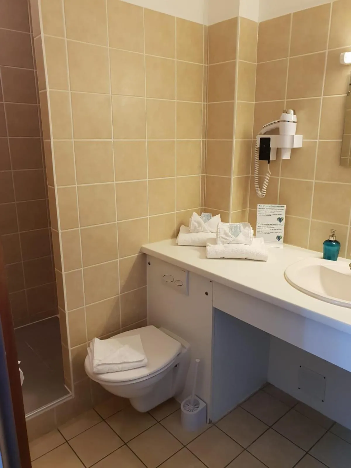 Toilet in Auberge Communale de la Fruitière