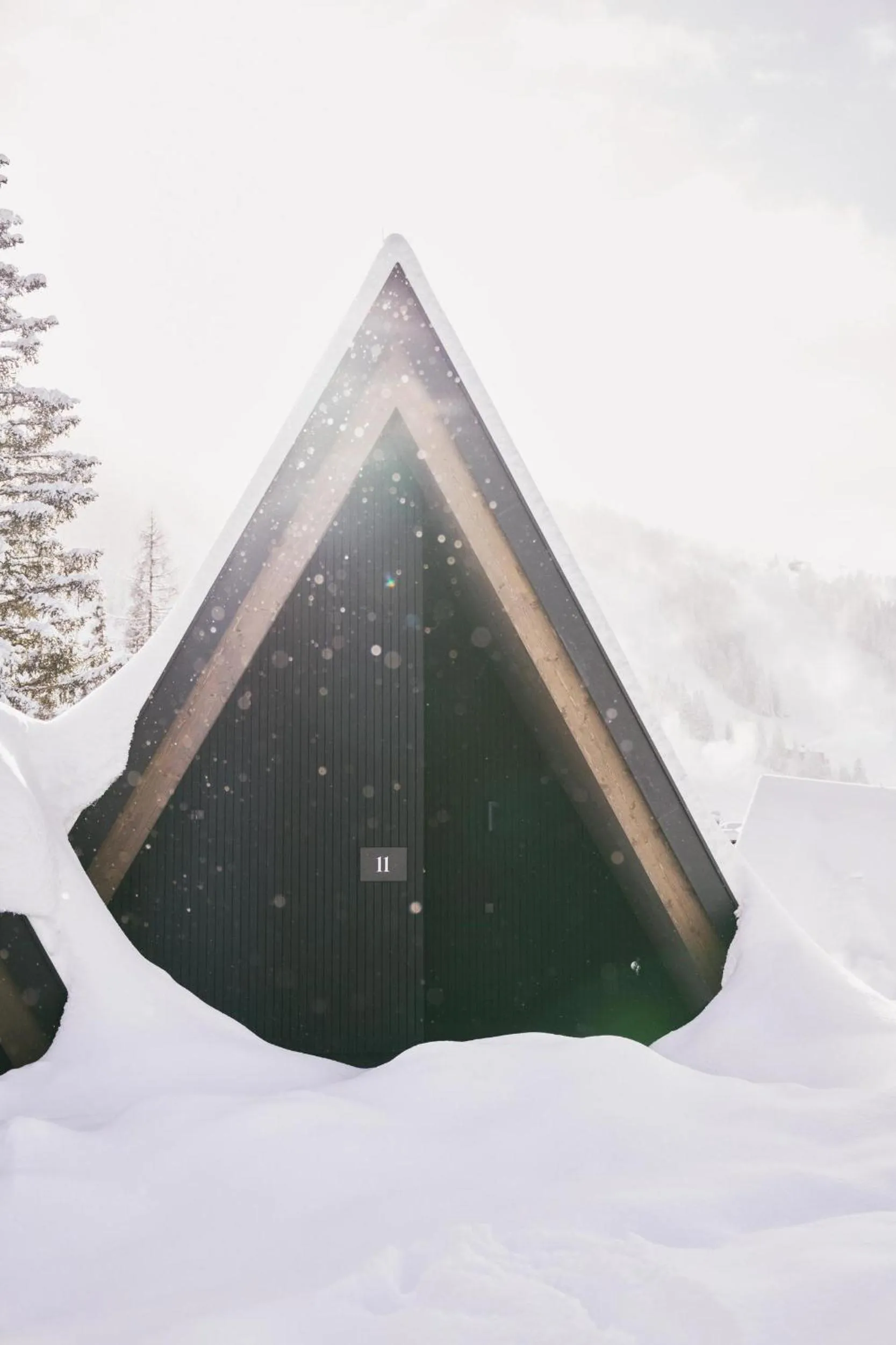 Lobby or reception in TRIFORÊT alpin resort