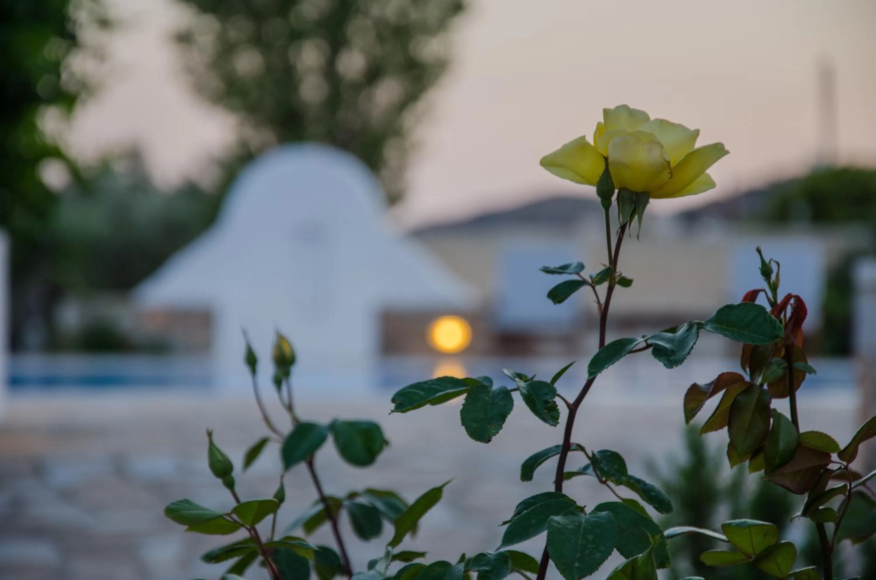 Property building in Brother's Hotel