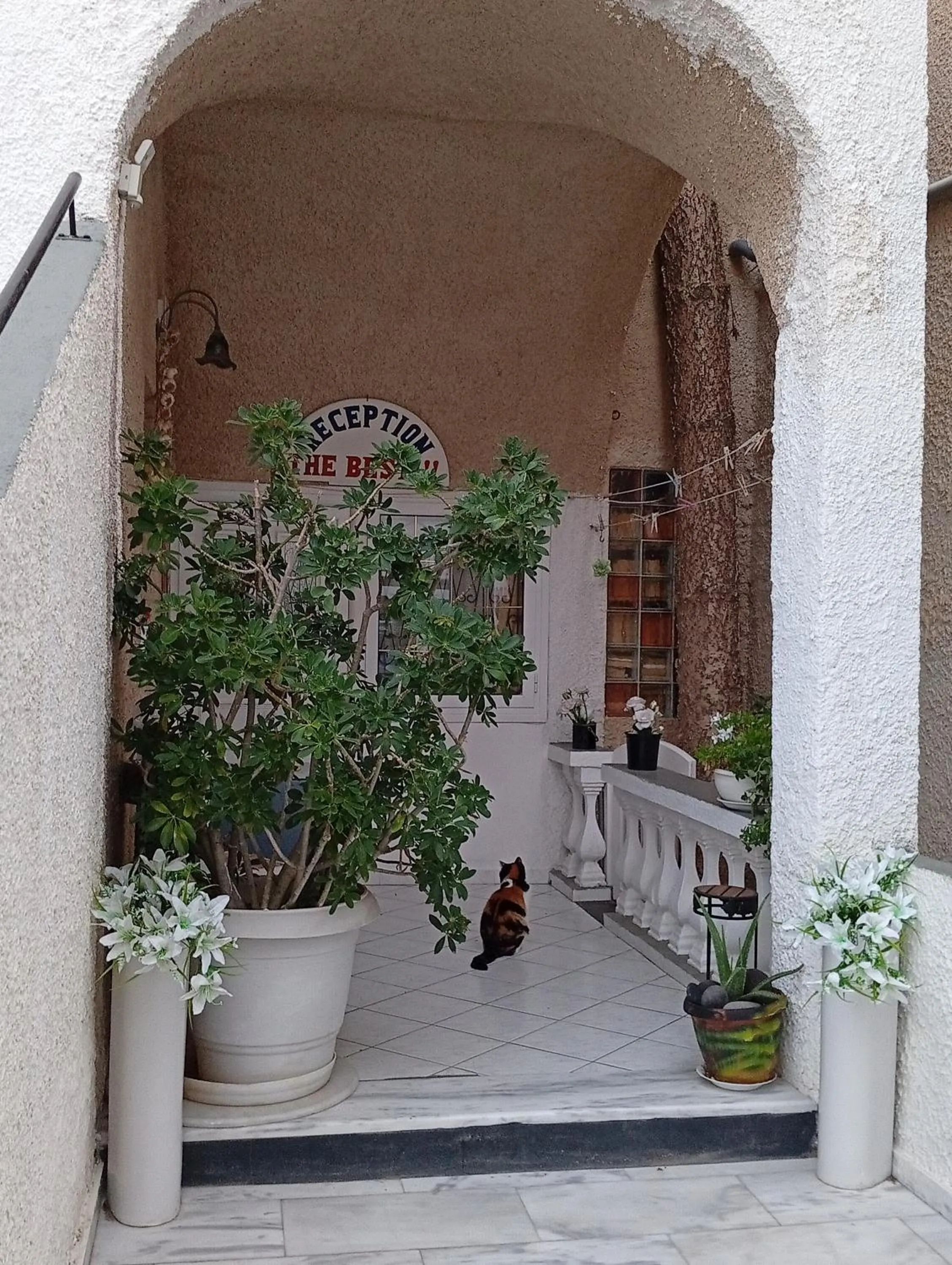 Property building in The Best