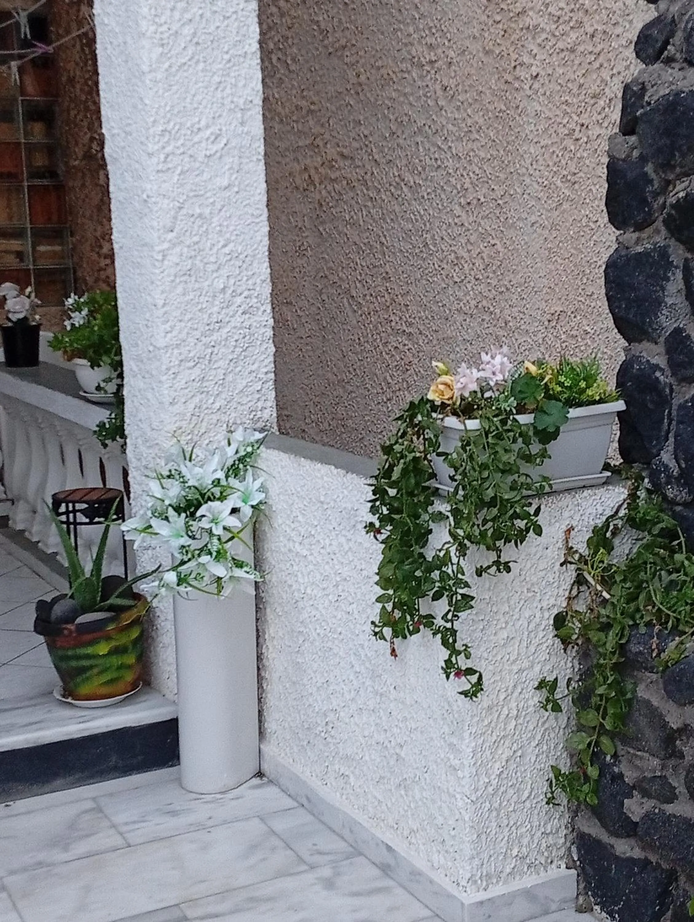 View (from property/room) in The Best