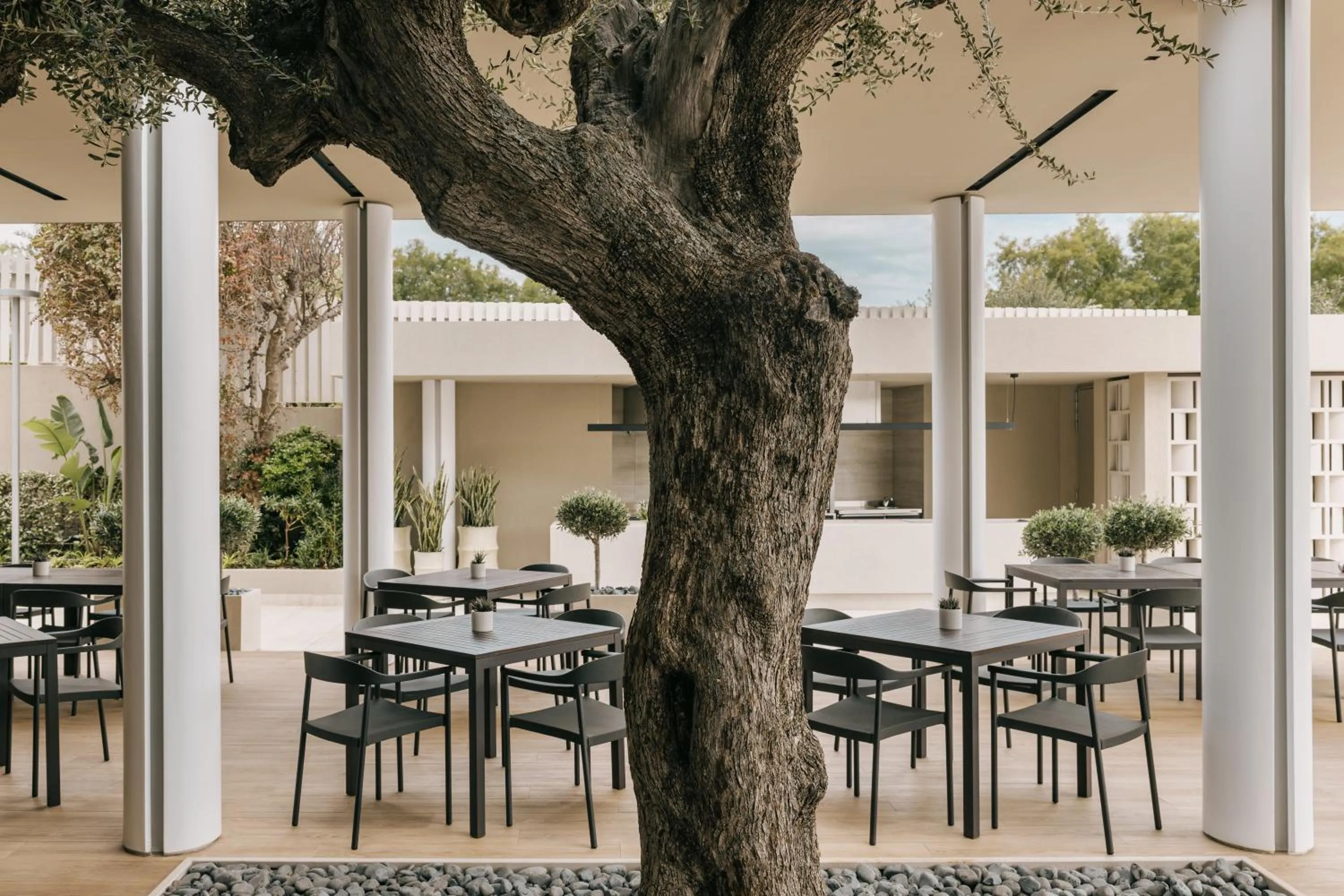 Restaurant/places to eat in Divani Apollon Palace & Thalasso