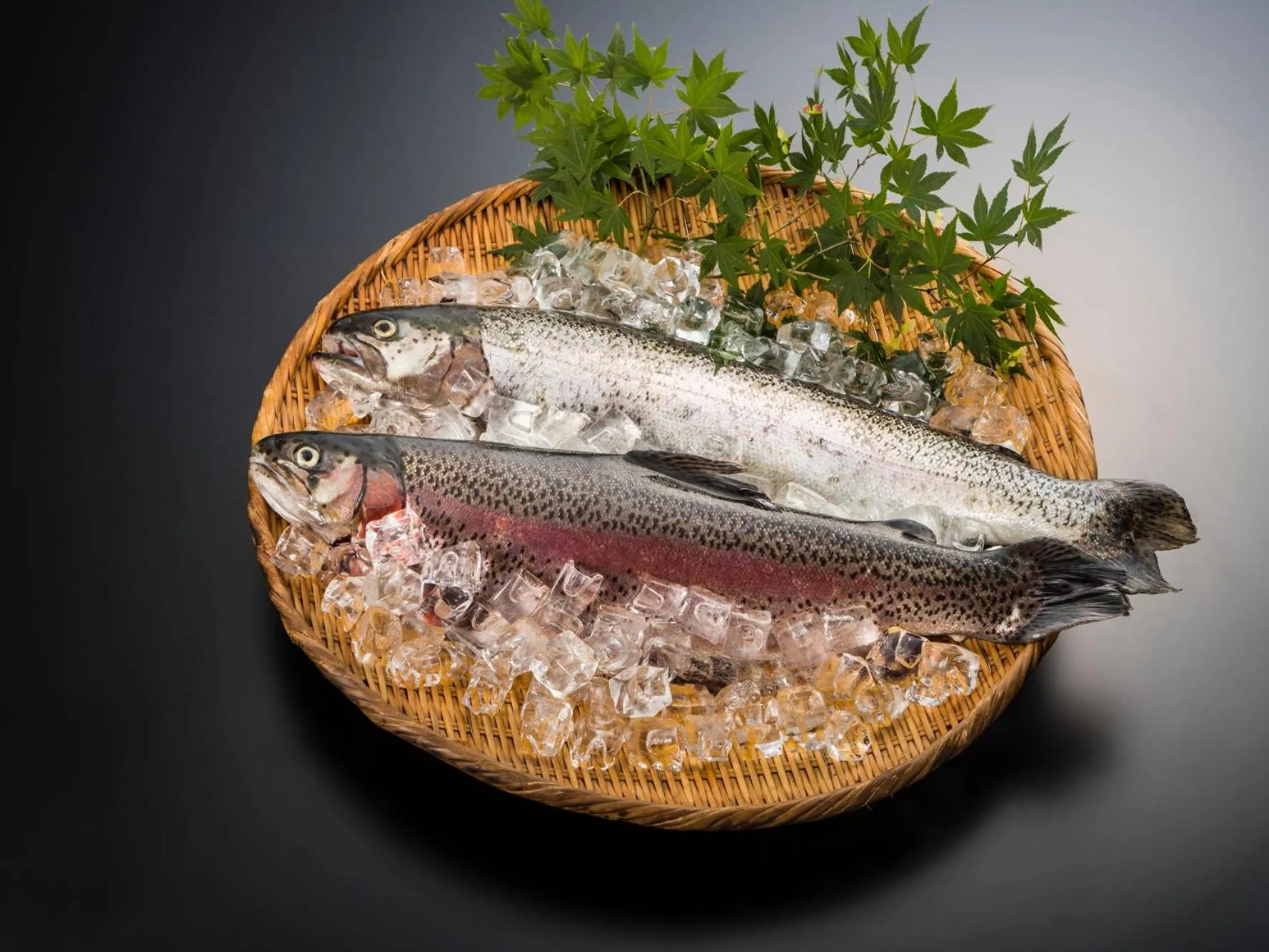 Food and drinks in Japanese Onsen Ryokan Kohakuen