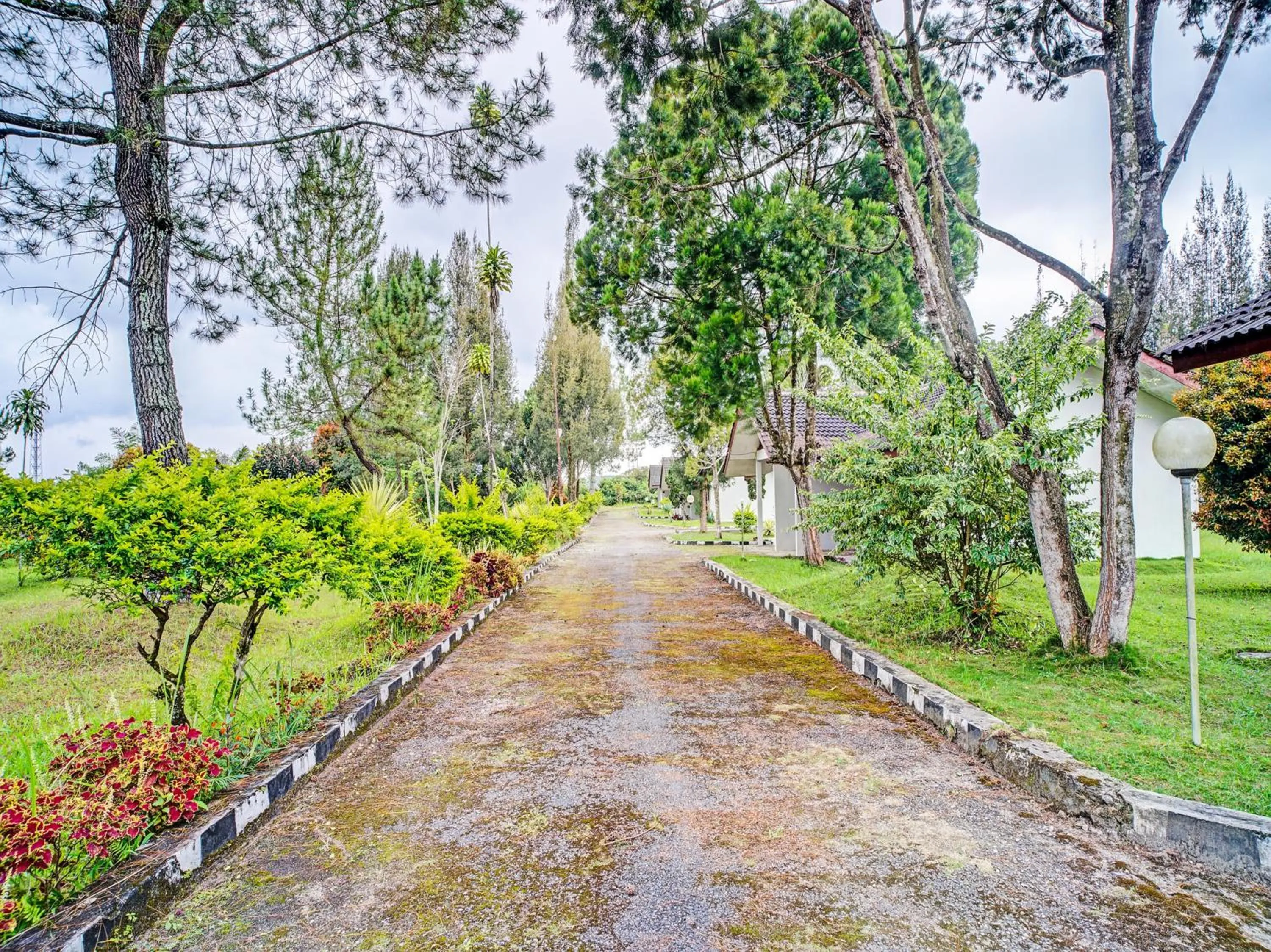 Garden in Capital O 92214 Beristera Hotel