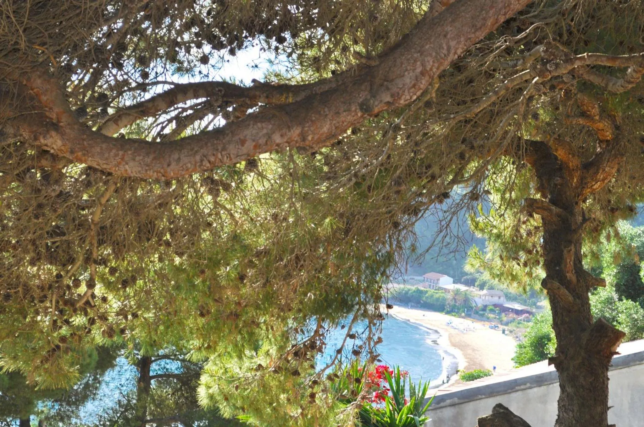 Summer in Luxury Loft Apartment with Pool - Pelekas Beach, Corfu