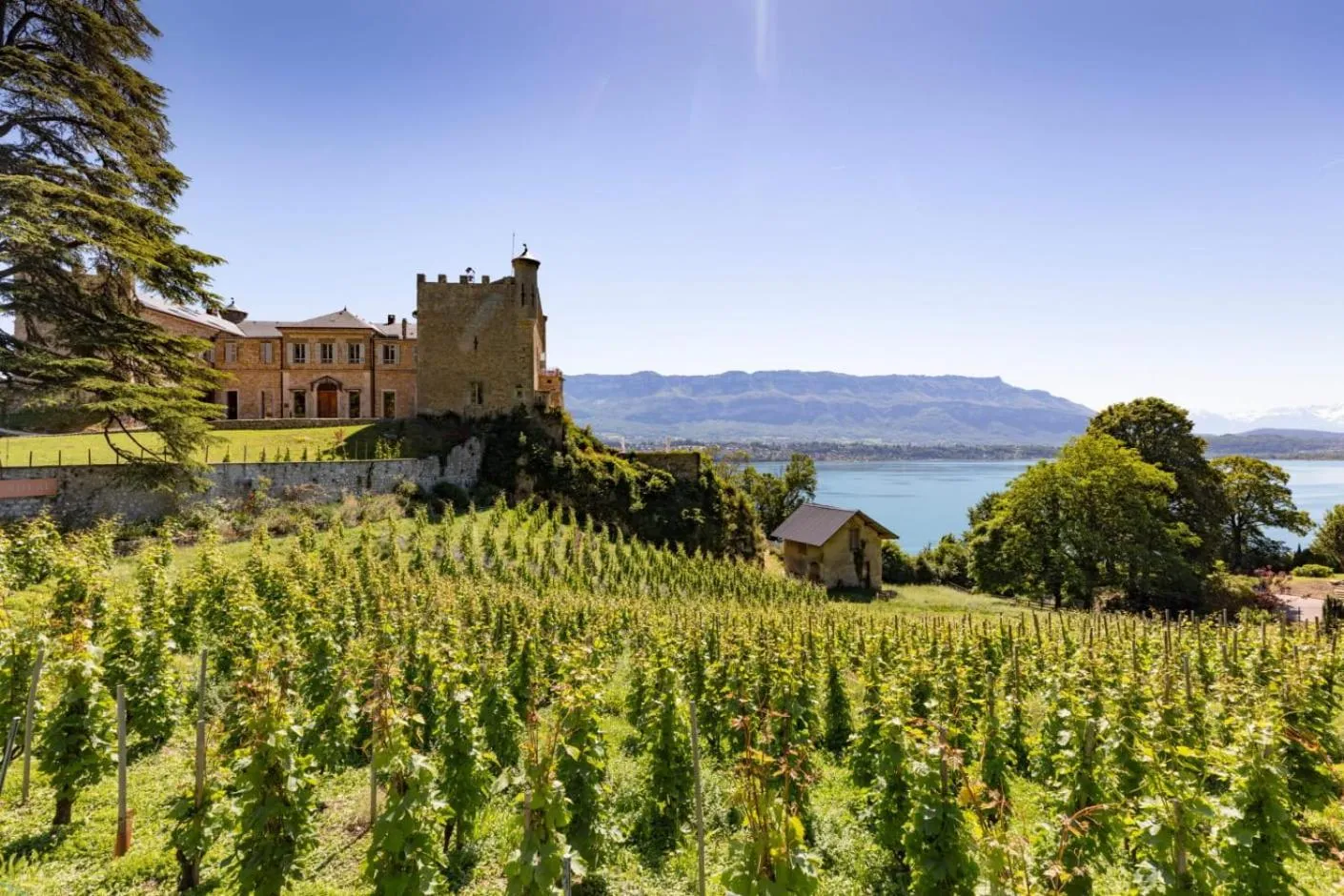 Natural landscape in B&B HOTEL Aix-les-Bains