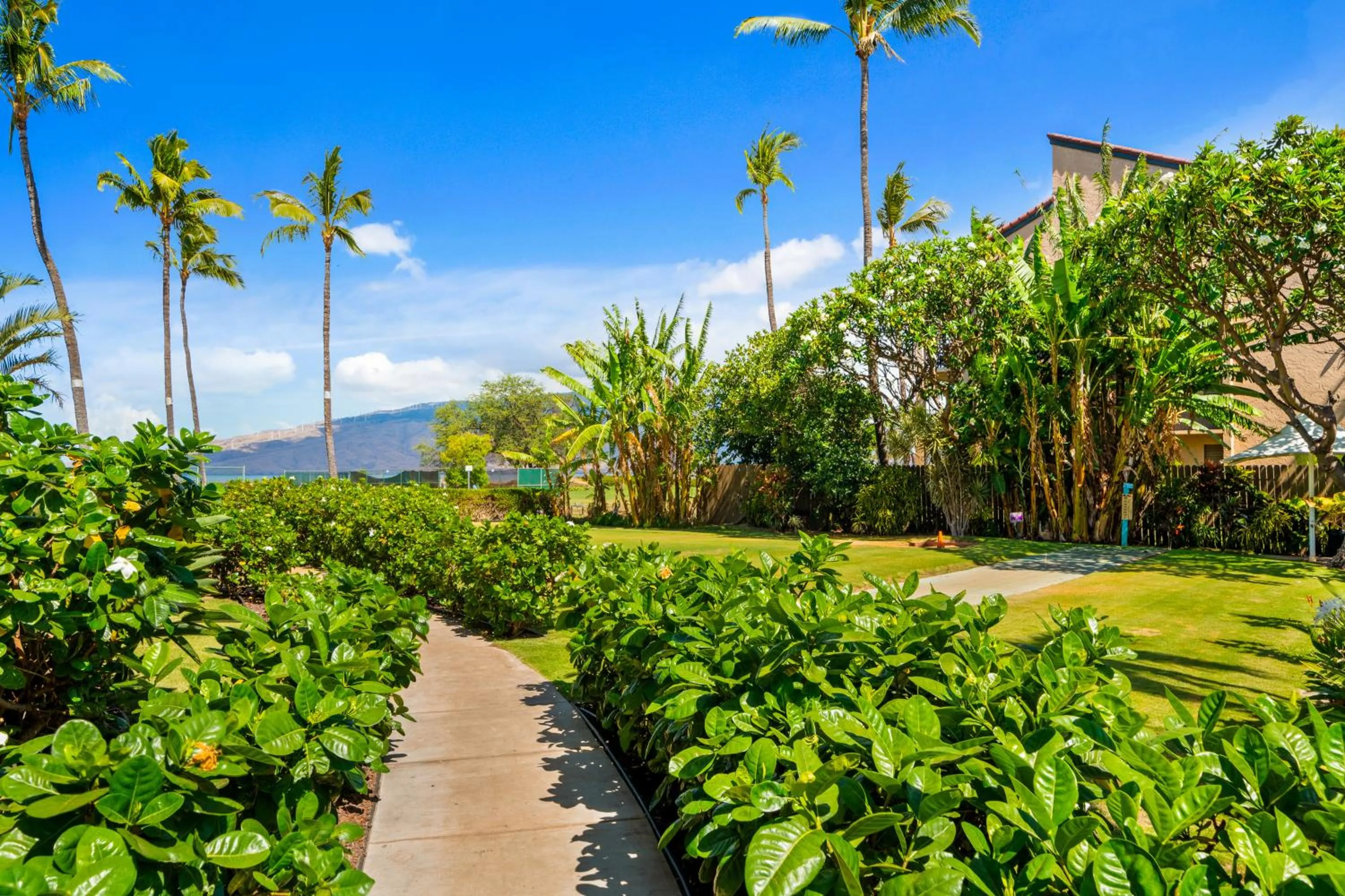 Spring in Maui Schooner Resort