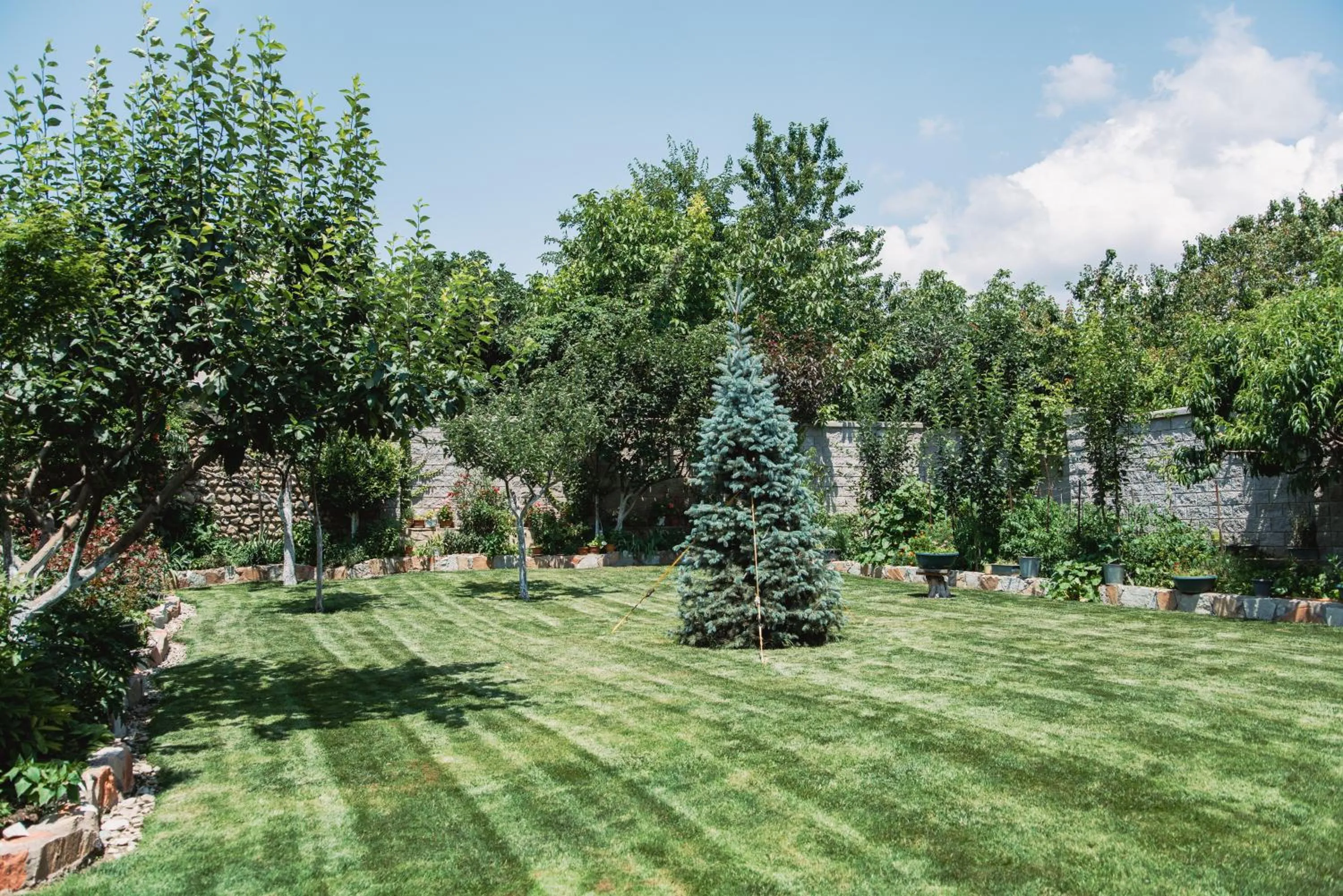 Garden view in My Georgian village