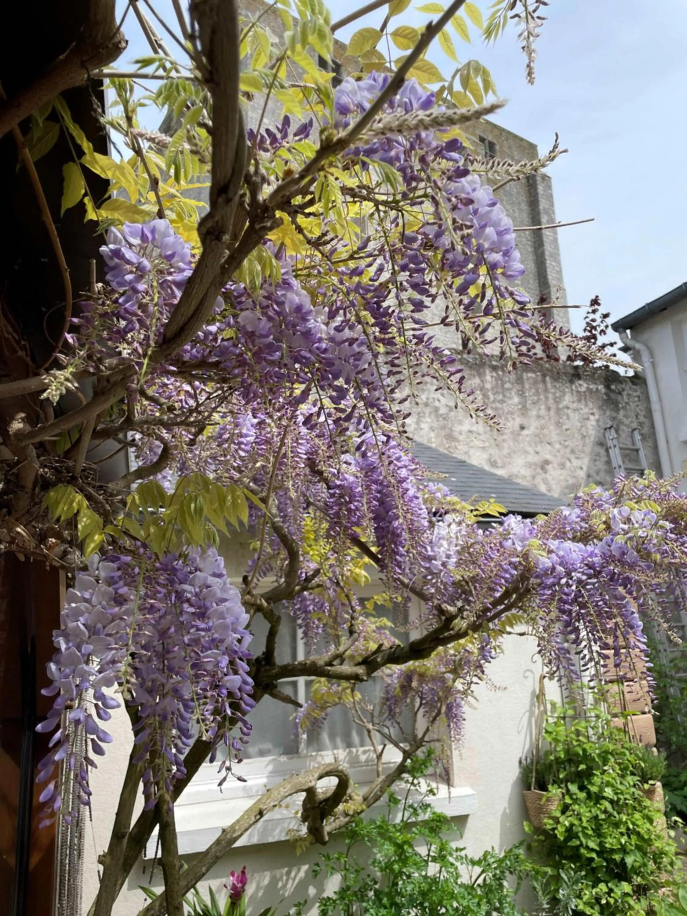 Patio in Hotel de la Sologne