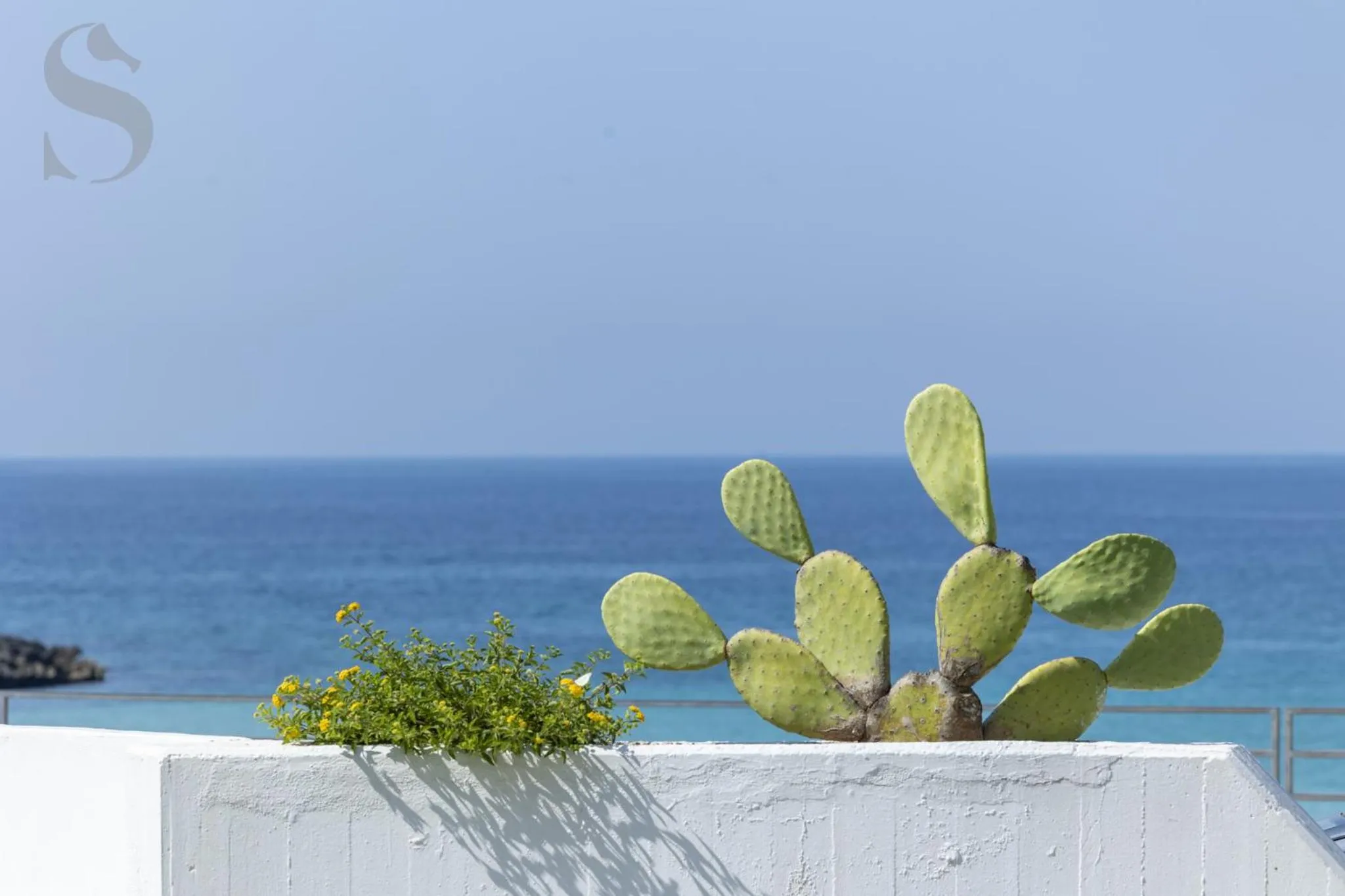 View (from property/room) in Sud Hotel Pulsano