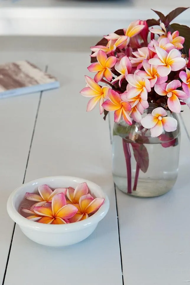 Decorative detail in Notos Hotel Kardamili