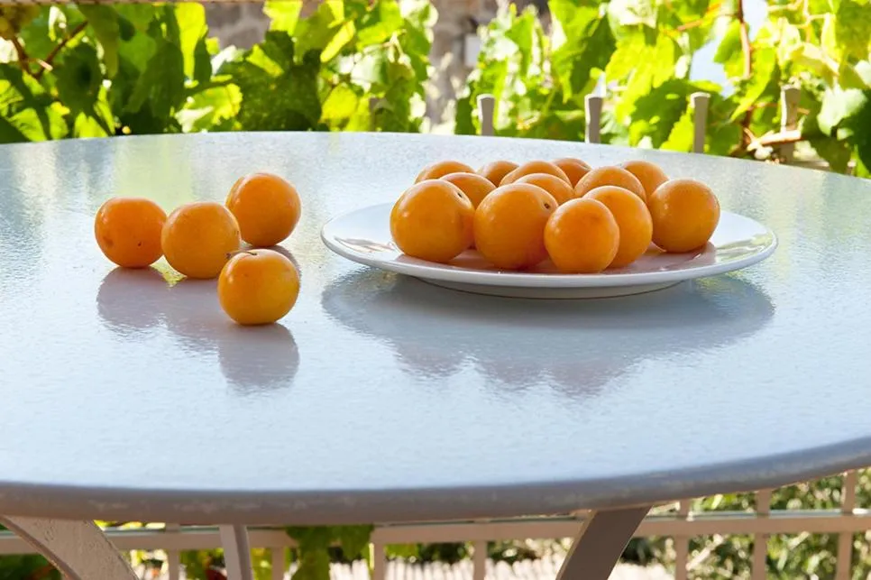 Food and drinks in Notos Hotel Kardamili