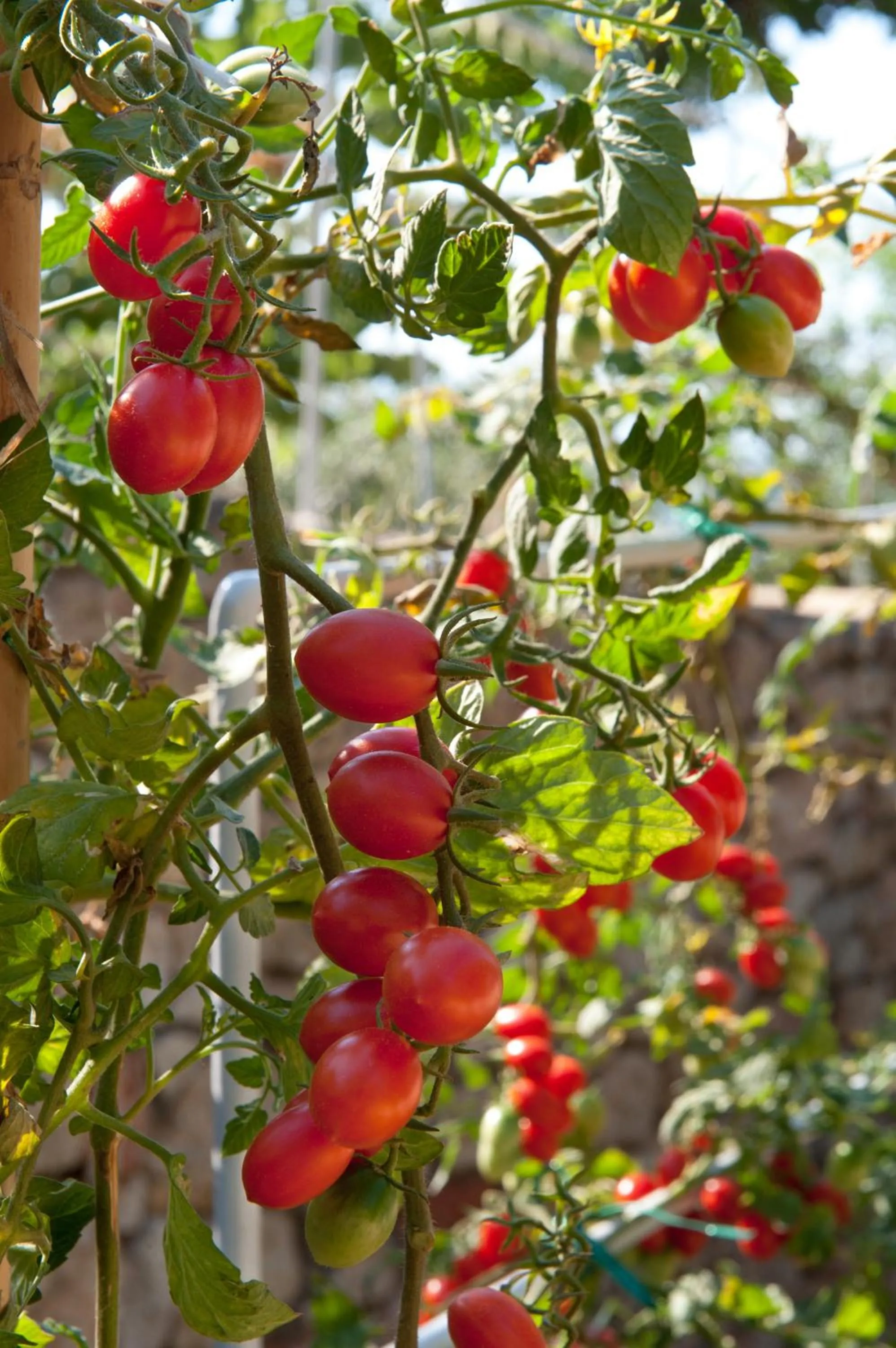 Notos Hotel Kardamili