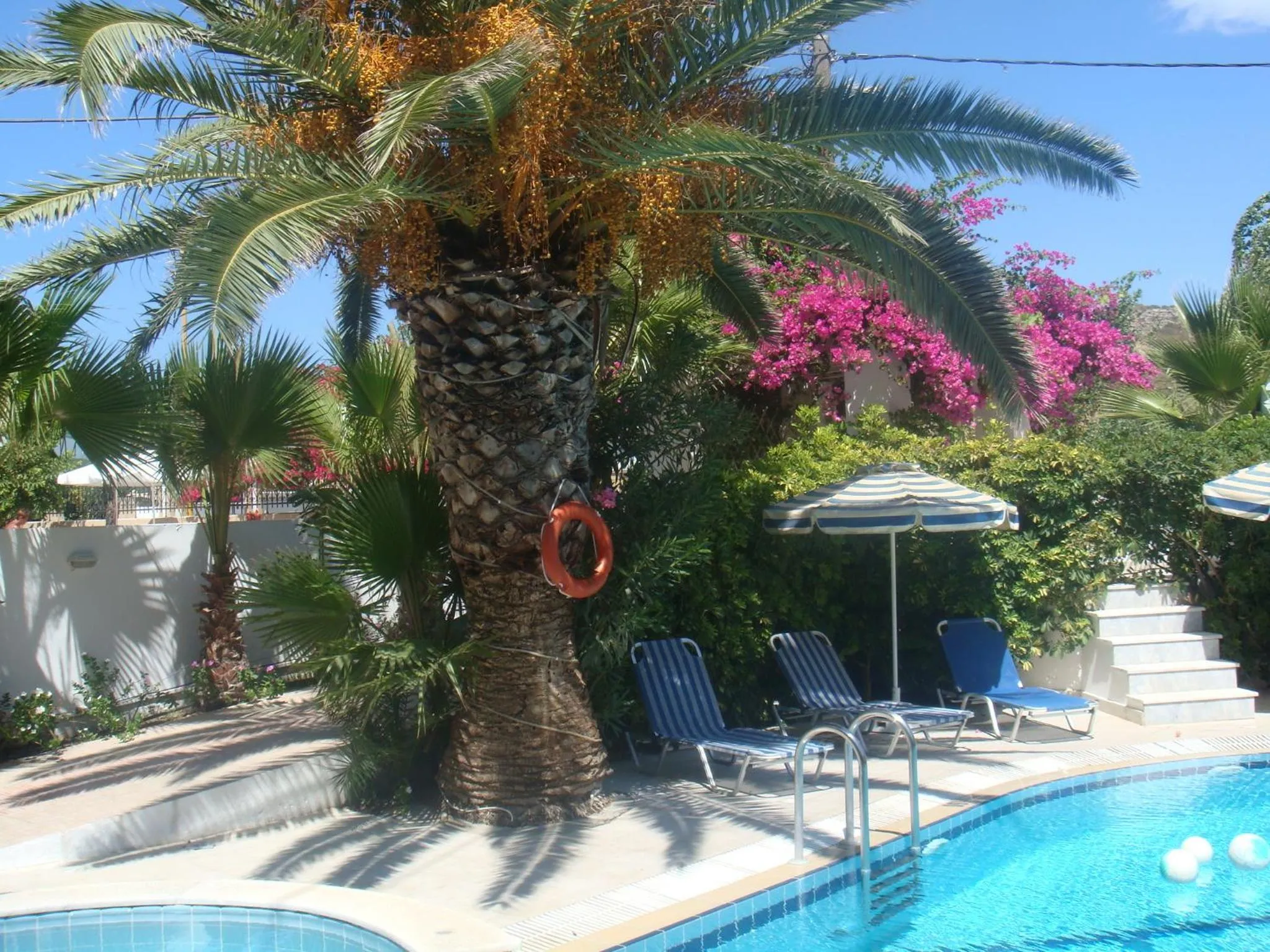 Swimming pool in White Palace Studios