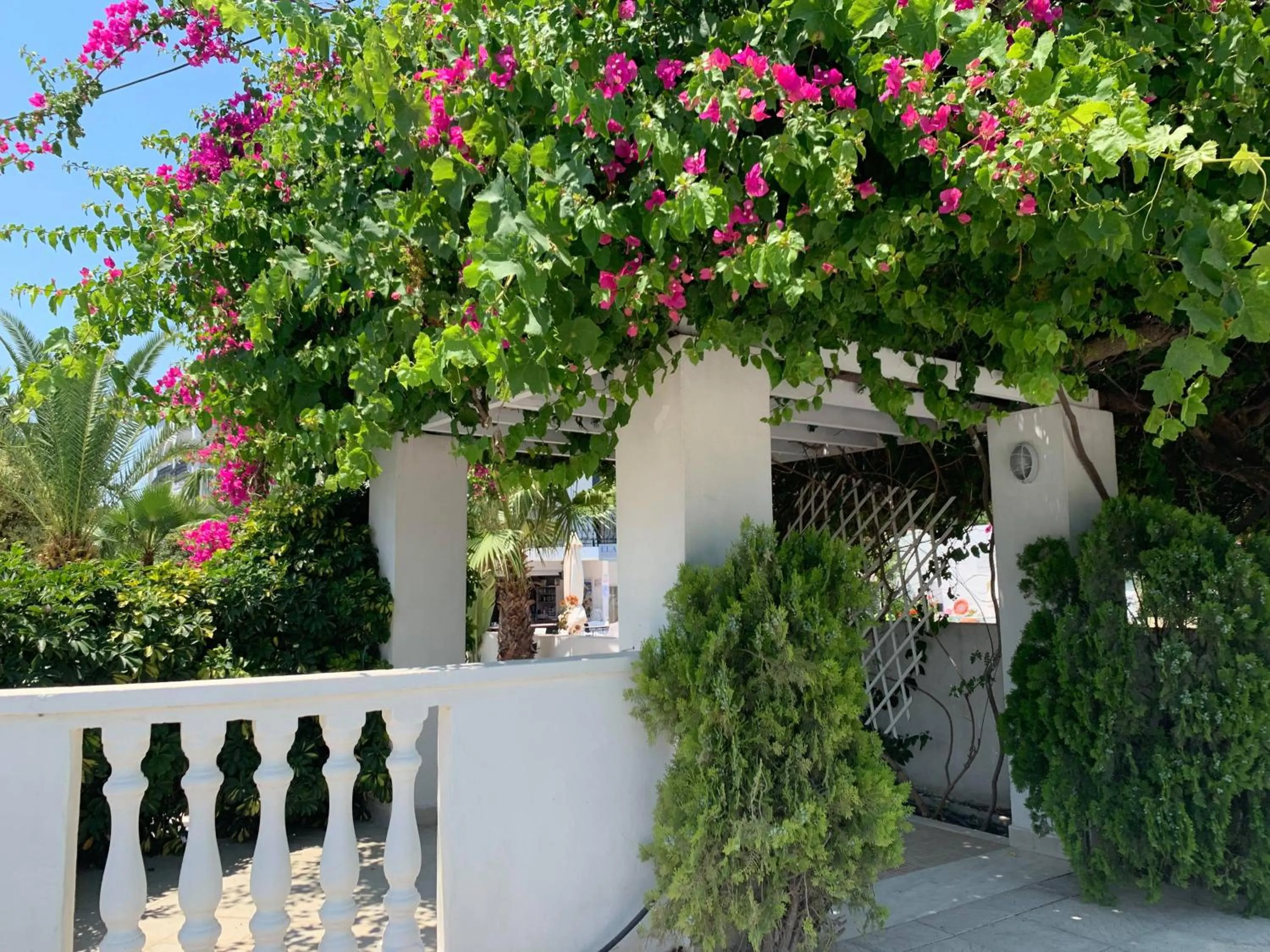 White Palace Studios