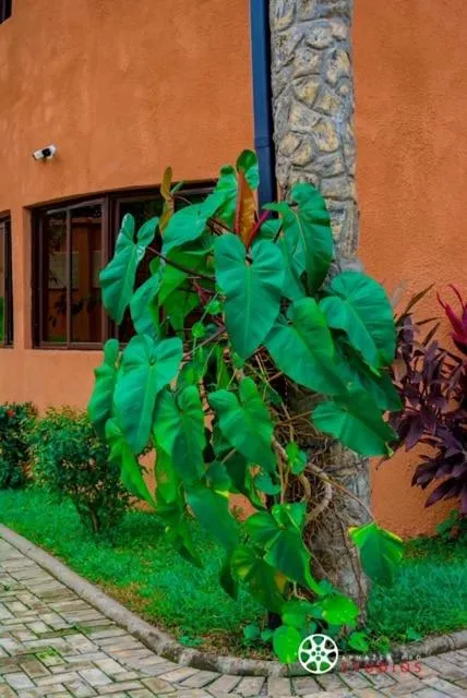 Property building in Trois Ore Residences & Green Earth Bistro