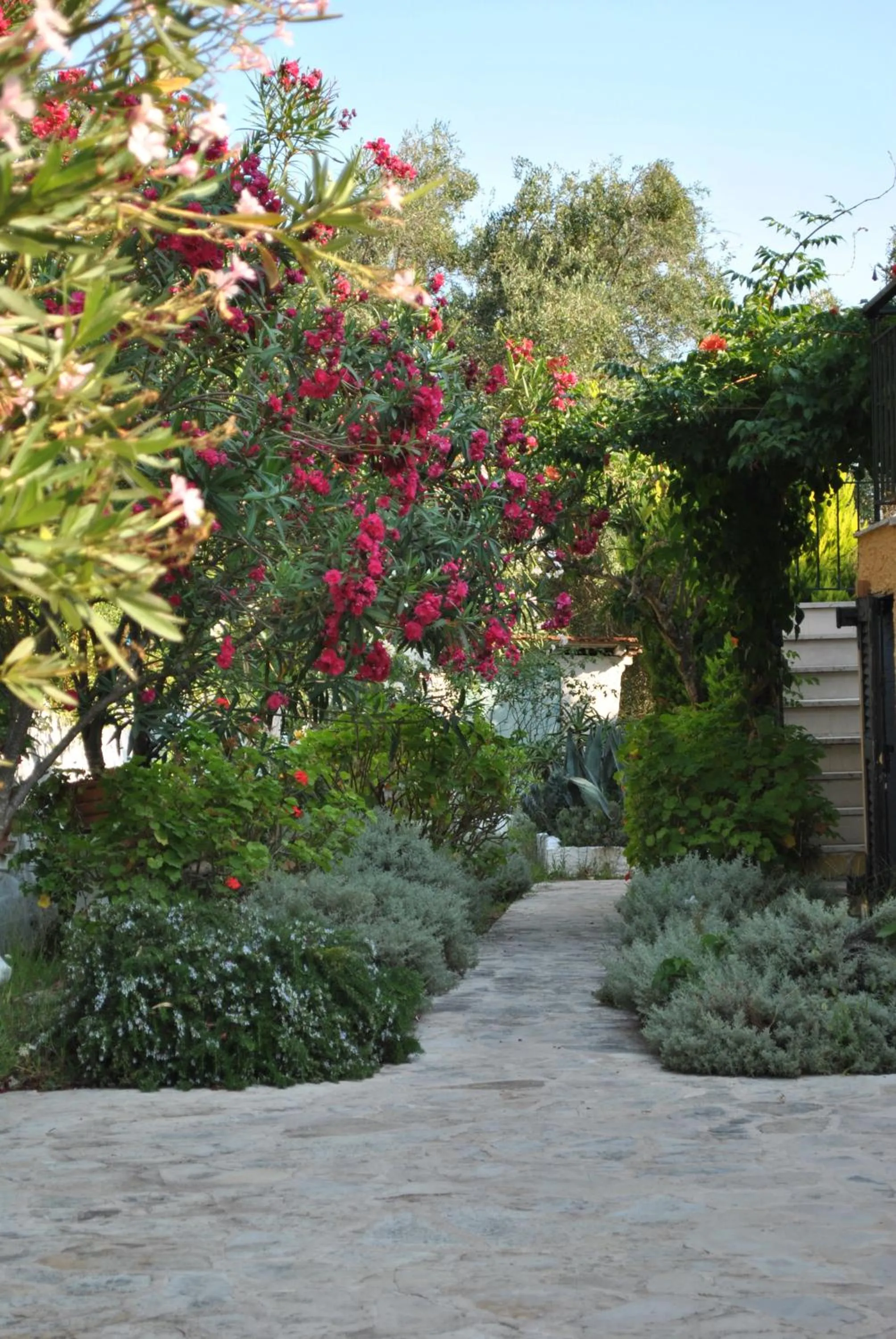 Garden in Hotel Helios Splendid