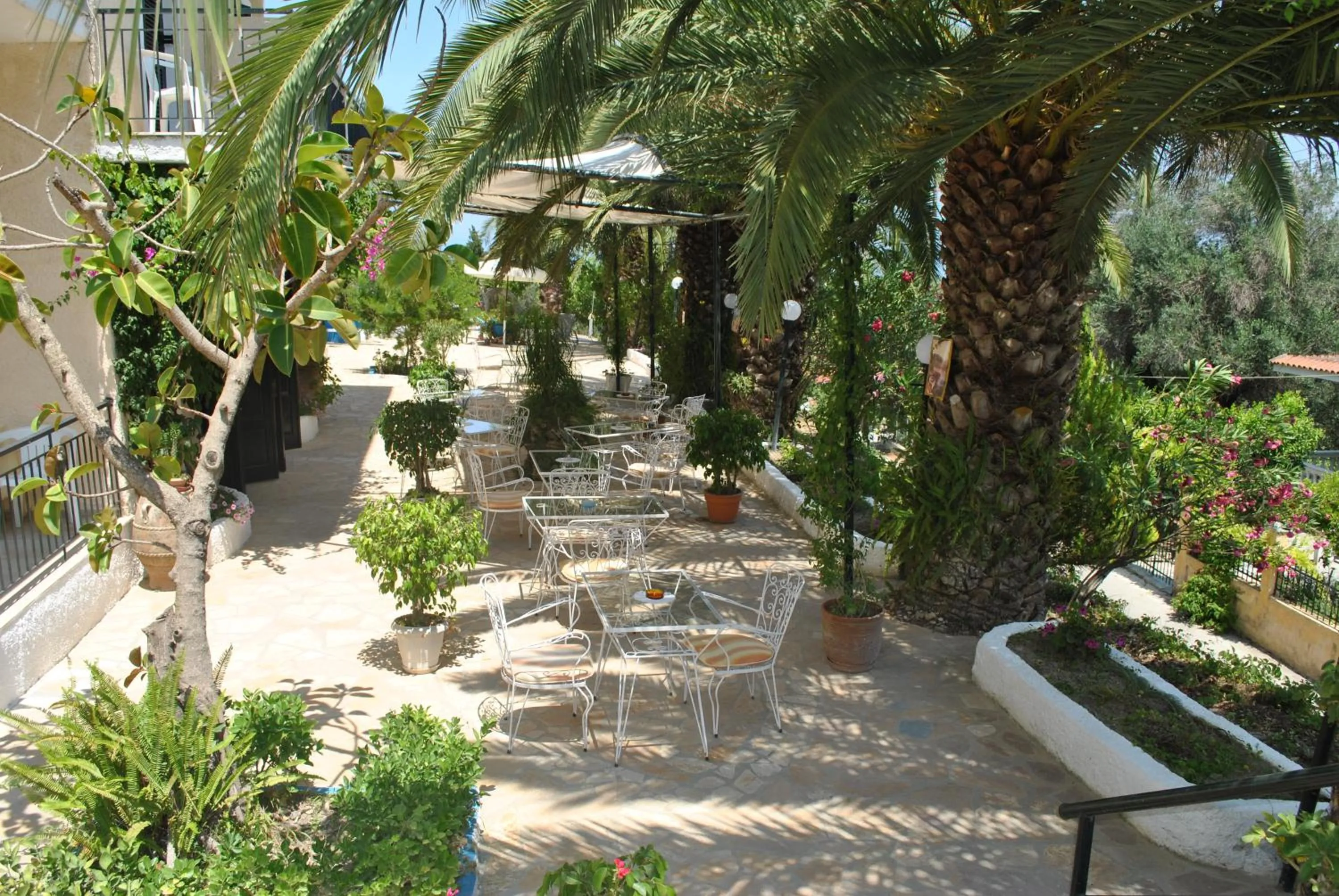 Garden in Hotel Helios Splendid