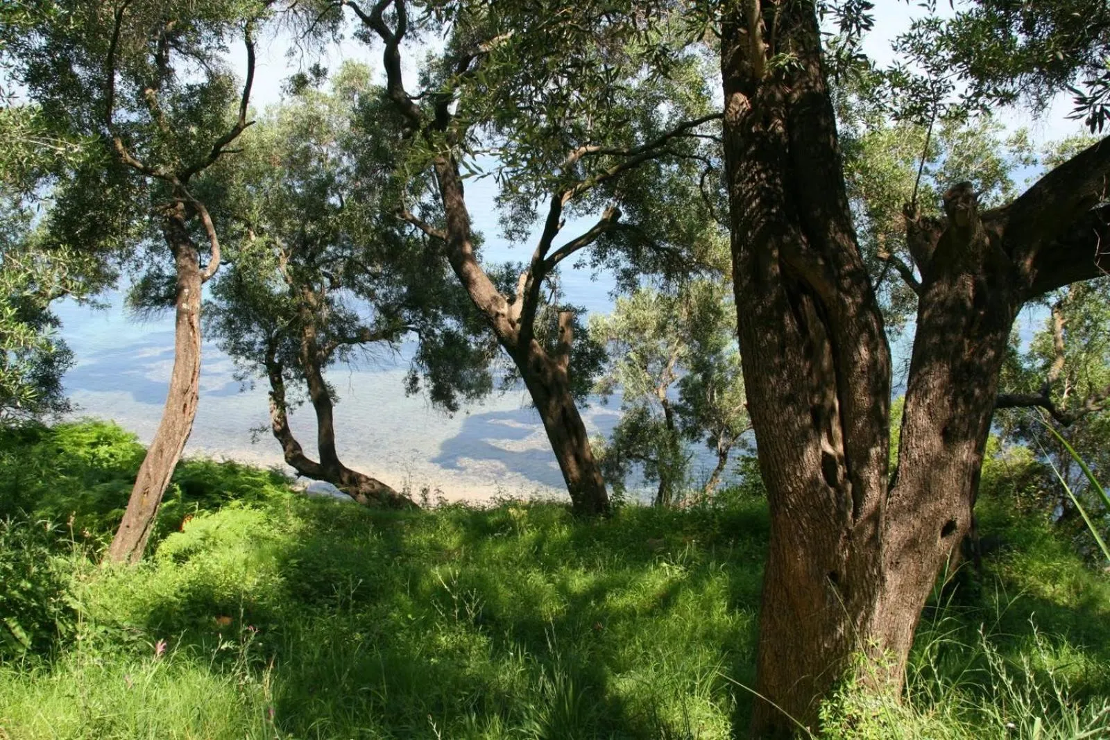 Canoeing in Hotel Helios Splendid