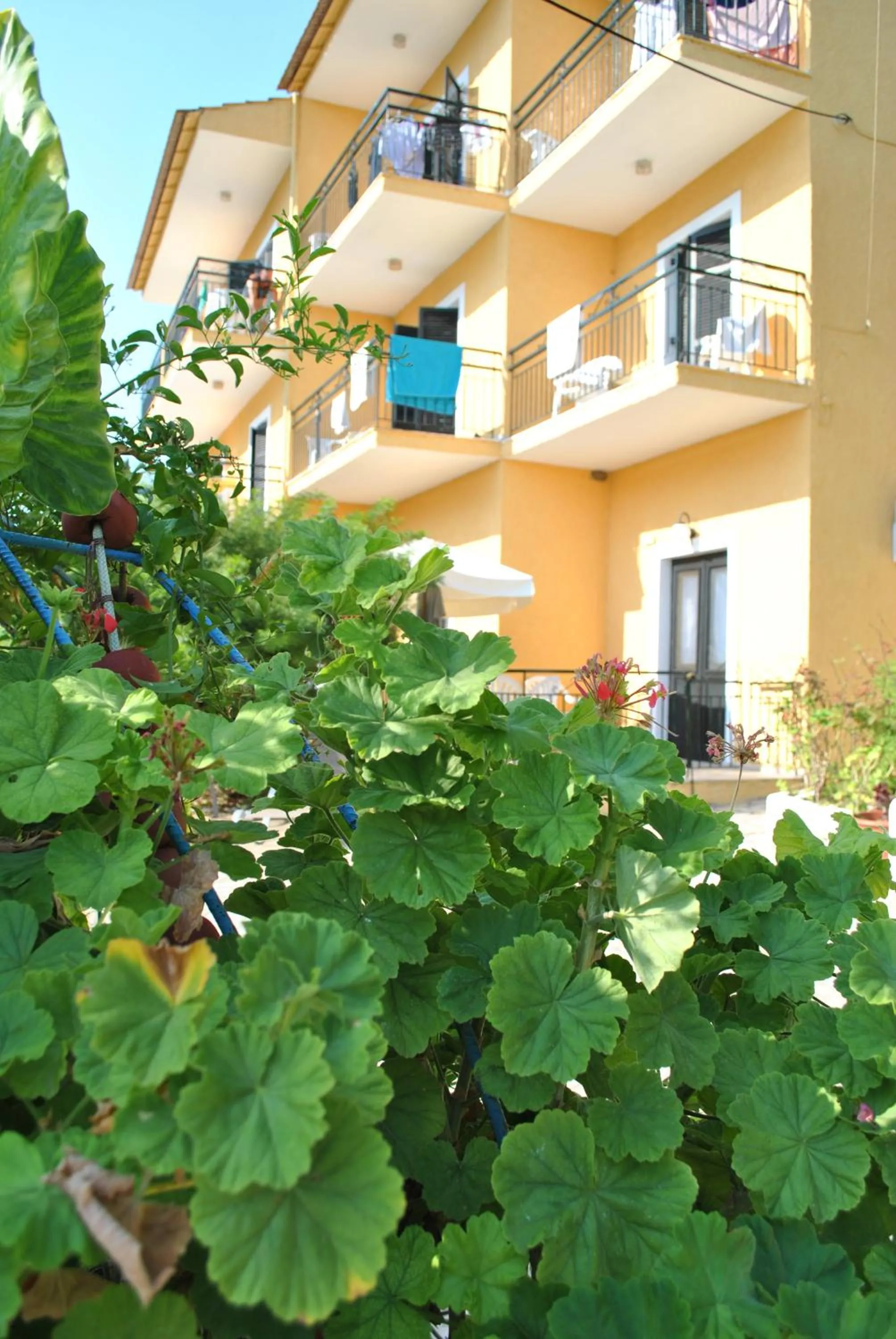 Property building in Hotel Helios Splendid